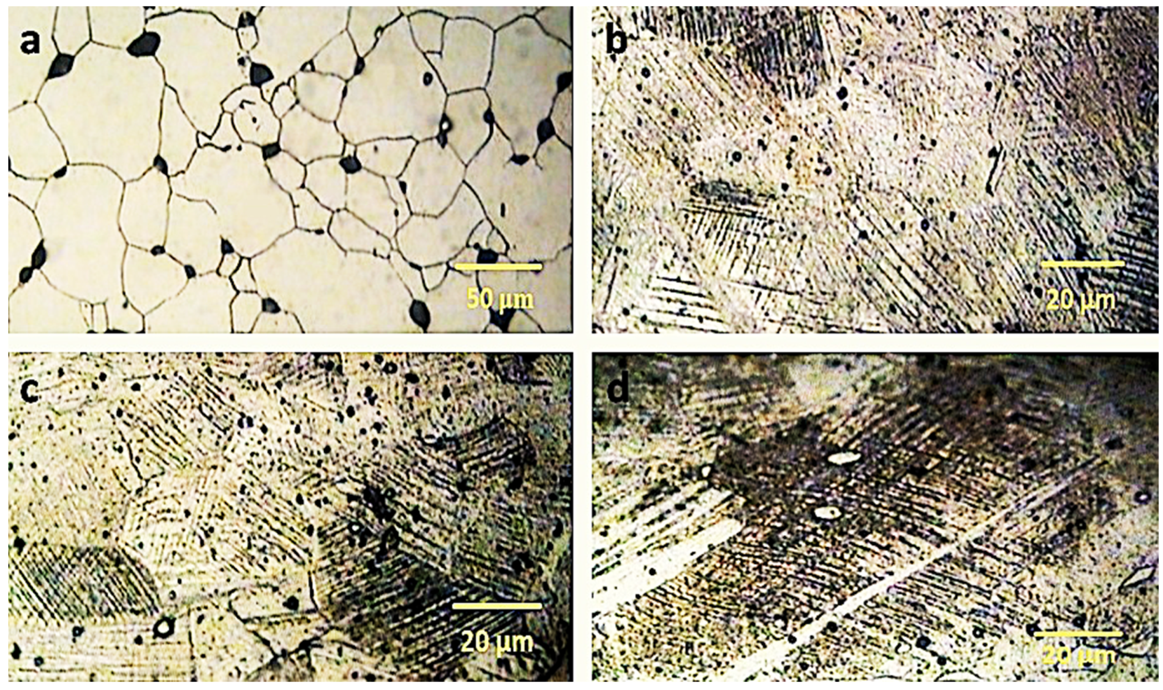 Metals 10 00568 g001