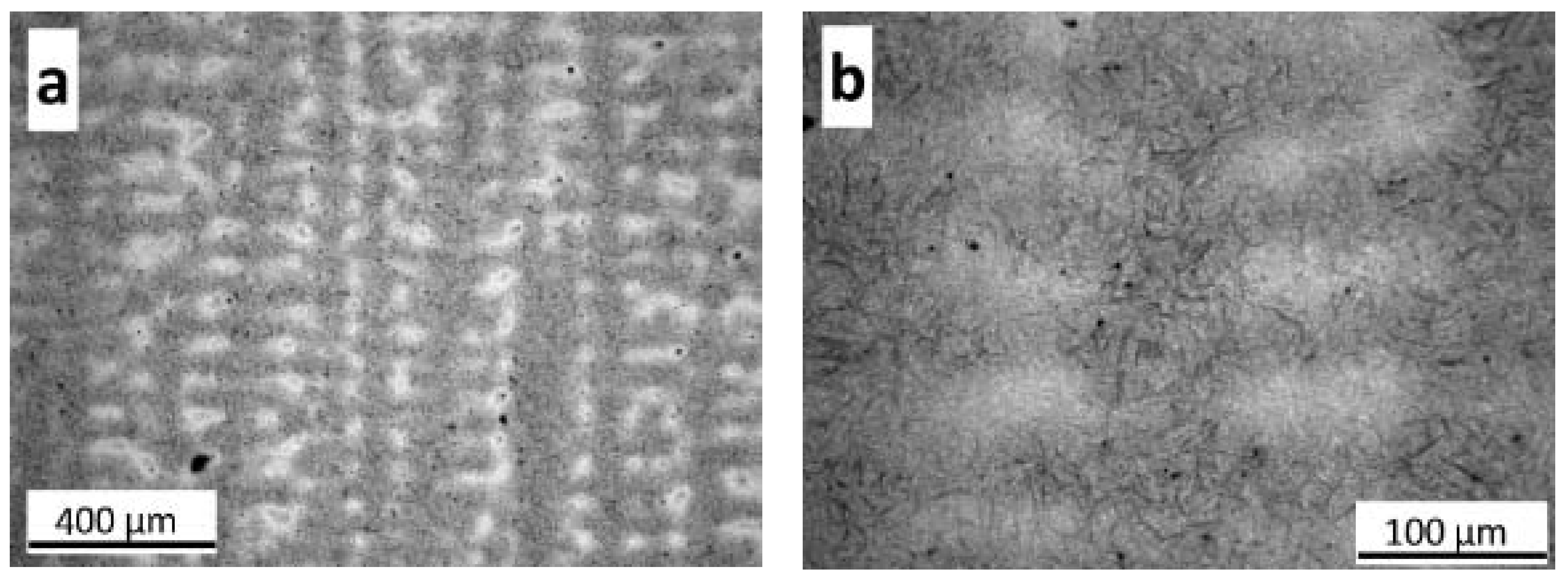 Metals 10 00574 g010 Metals 10 00574 g010