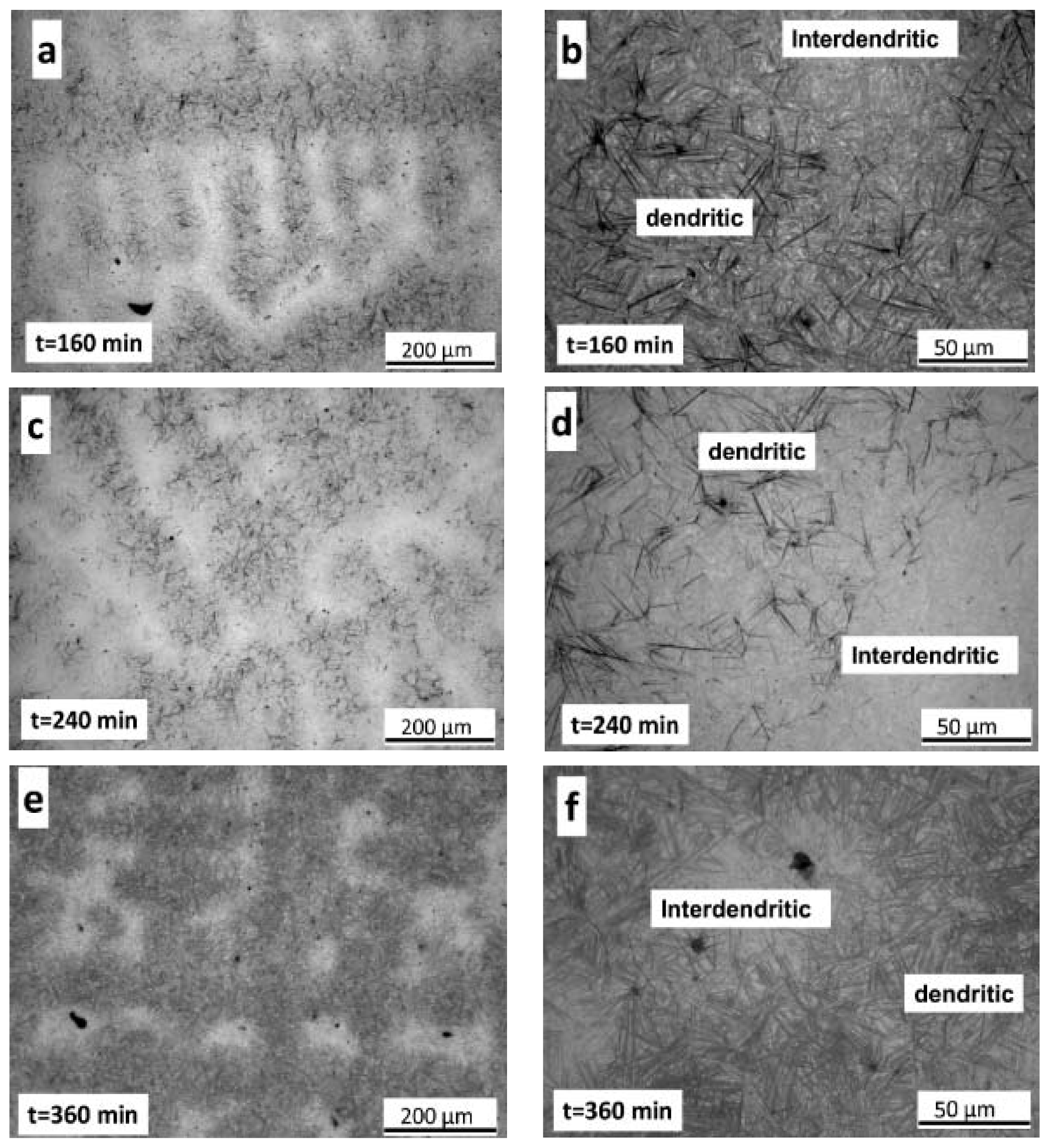 Metals 10 00574 g014 Metals 10 00574 g014