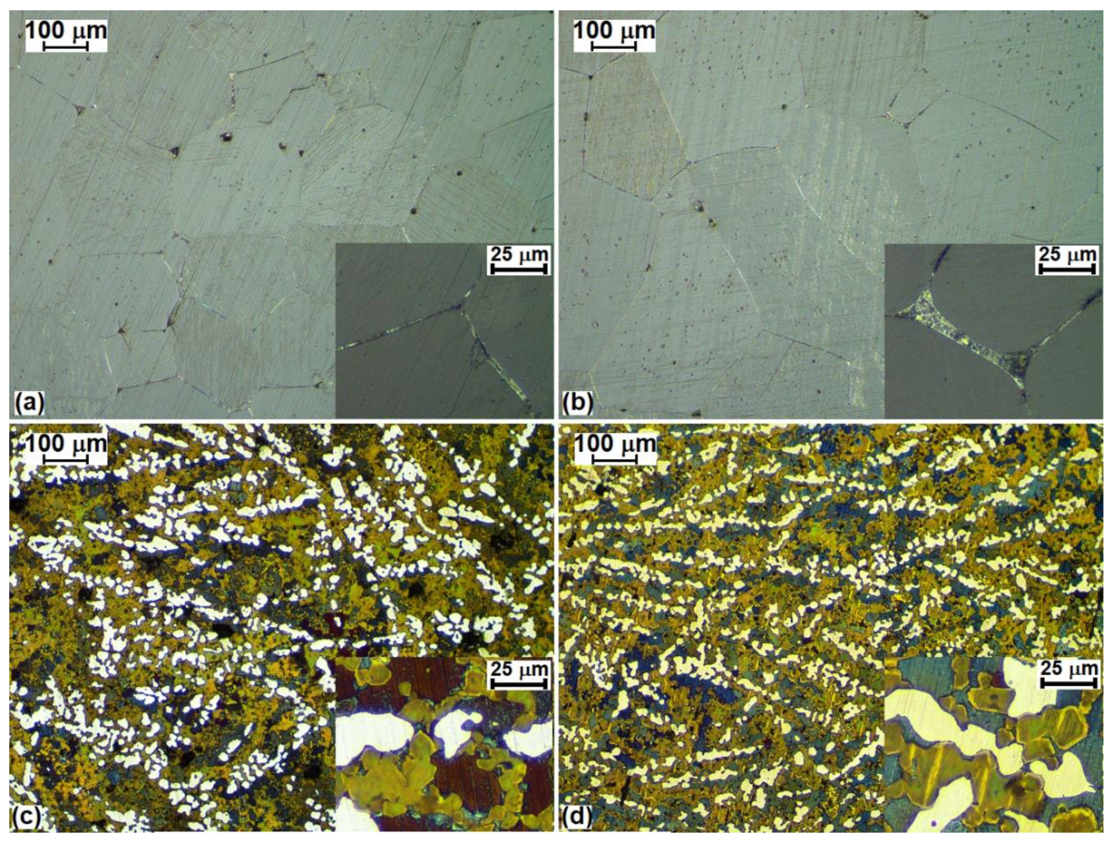 Metals 10 00586 g003