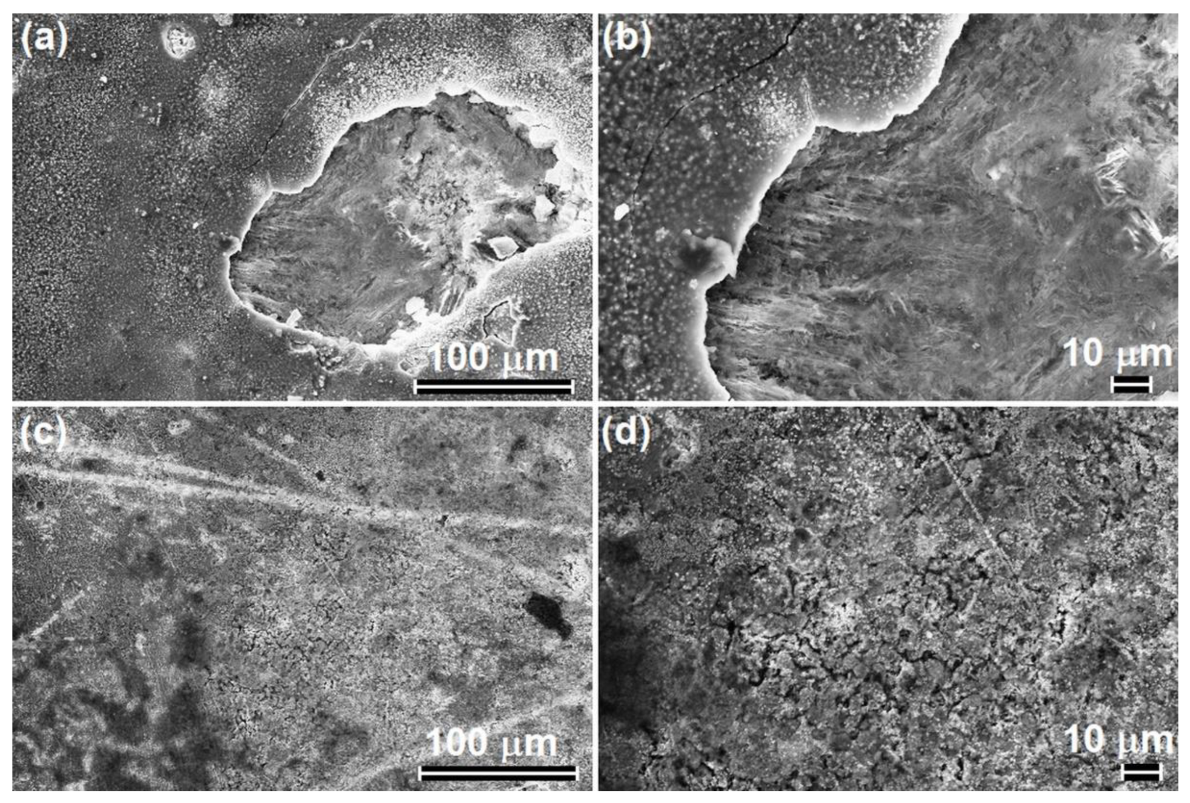 Metals 10 00586 g013