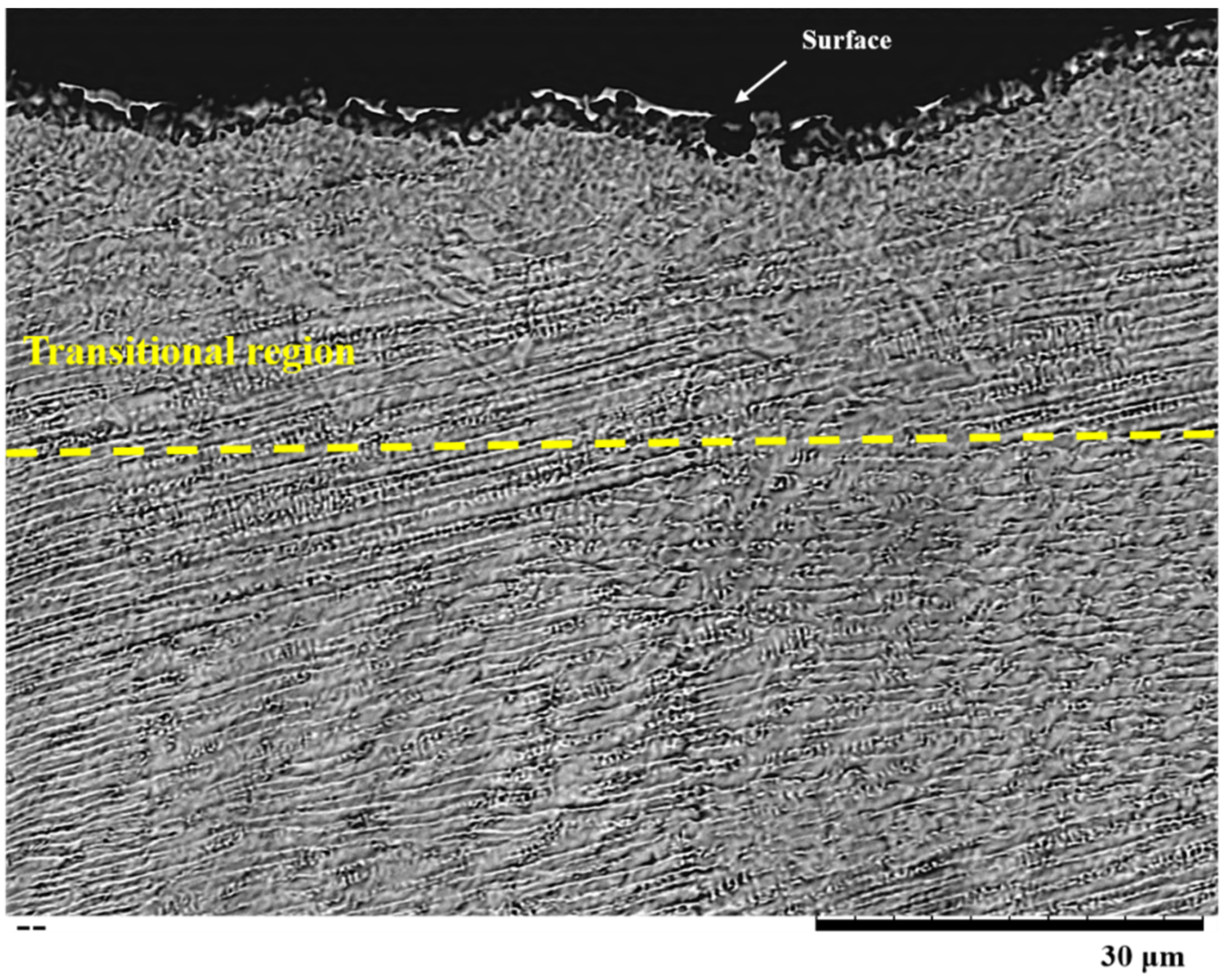 Metals 10 00587 g010 Metals 10 00587 g010