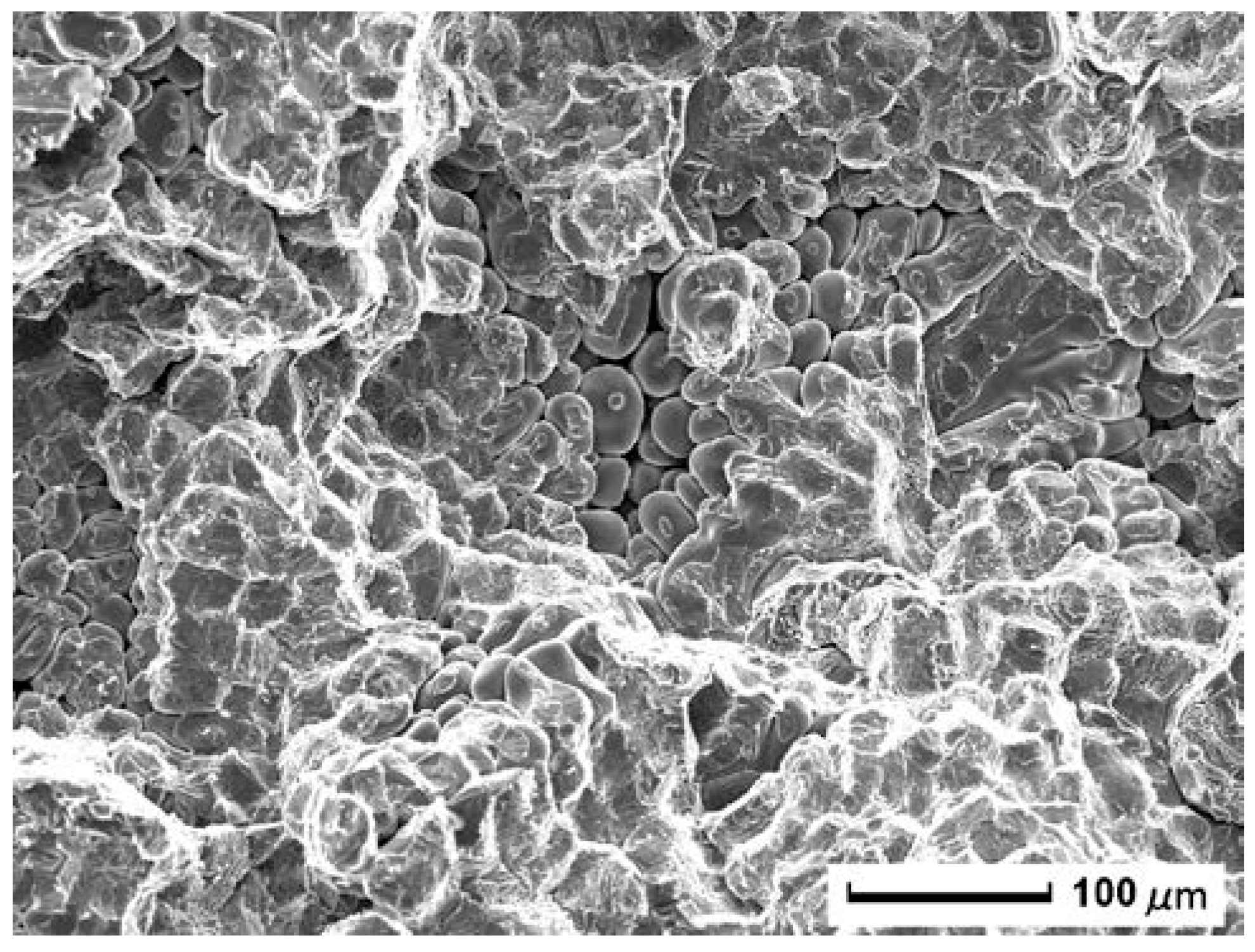 Metals 10 00590 g007 Metals 10 00590 g007