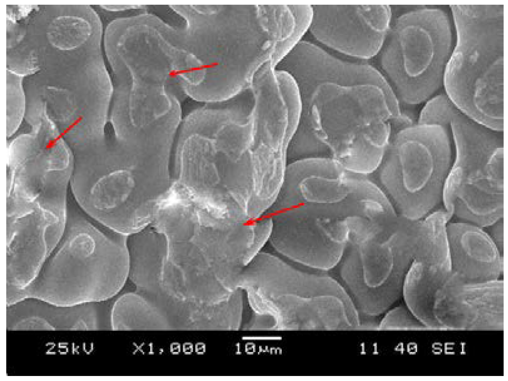 Metals 10 00590 g008 Metals 10 00590 g008