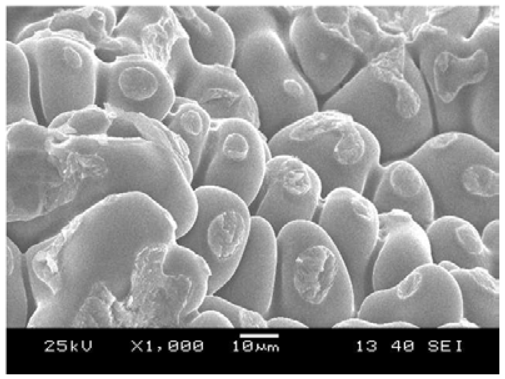 Metals 10 00590 g010 Metals 10 00590 g010