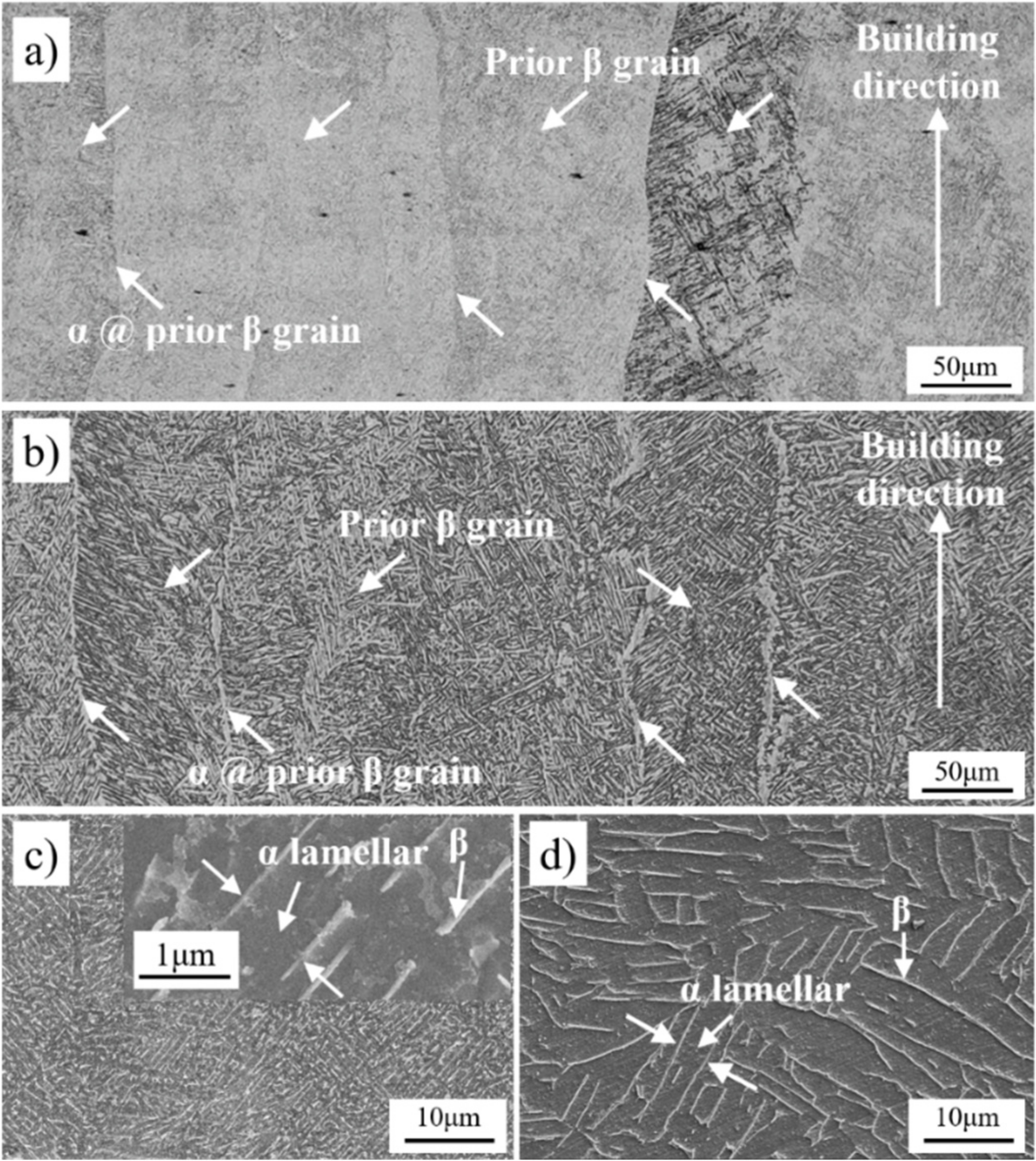 Metals 10 00593 g003