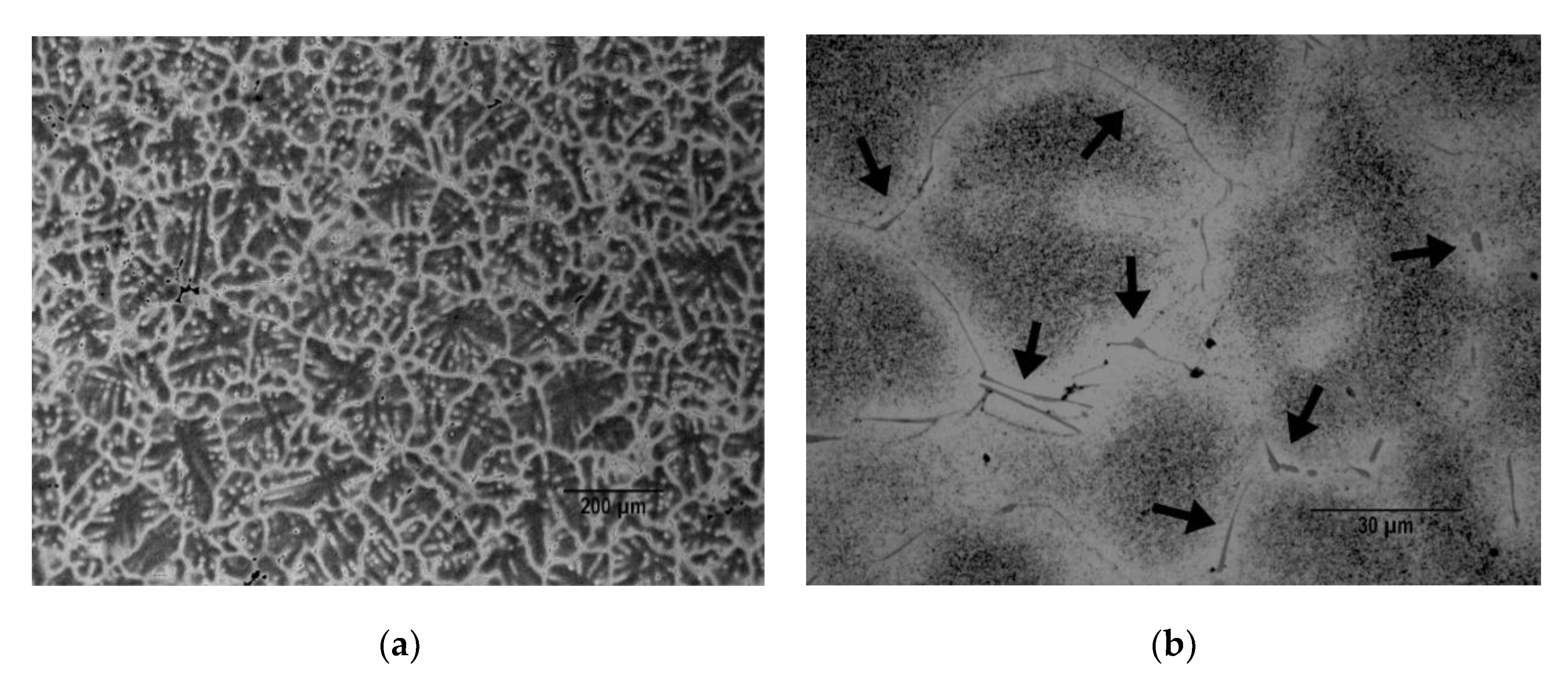 Metals 10 00620 g002