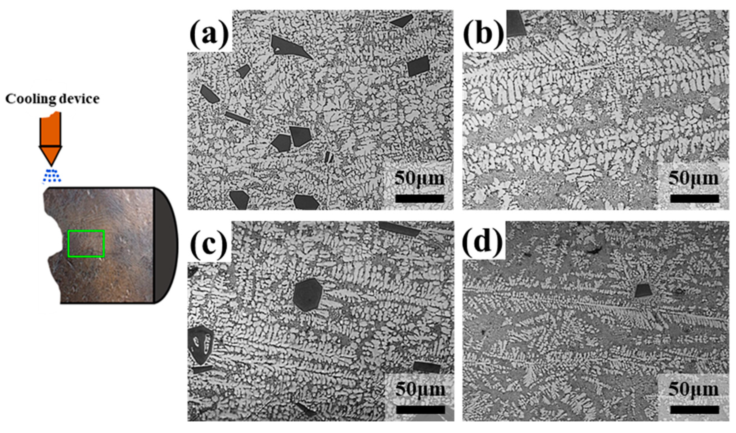 Metals 10 00625 g005 550