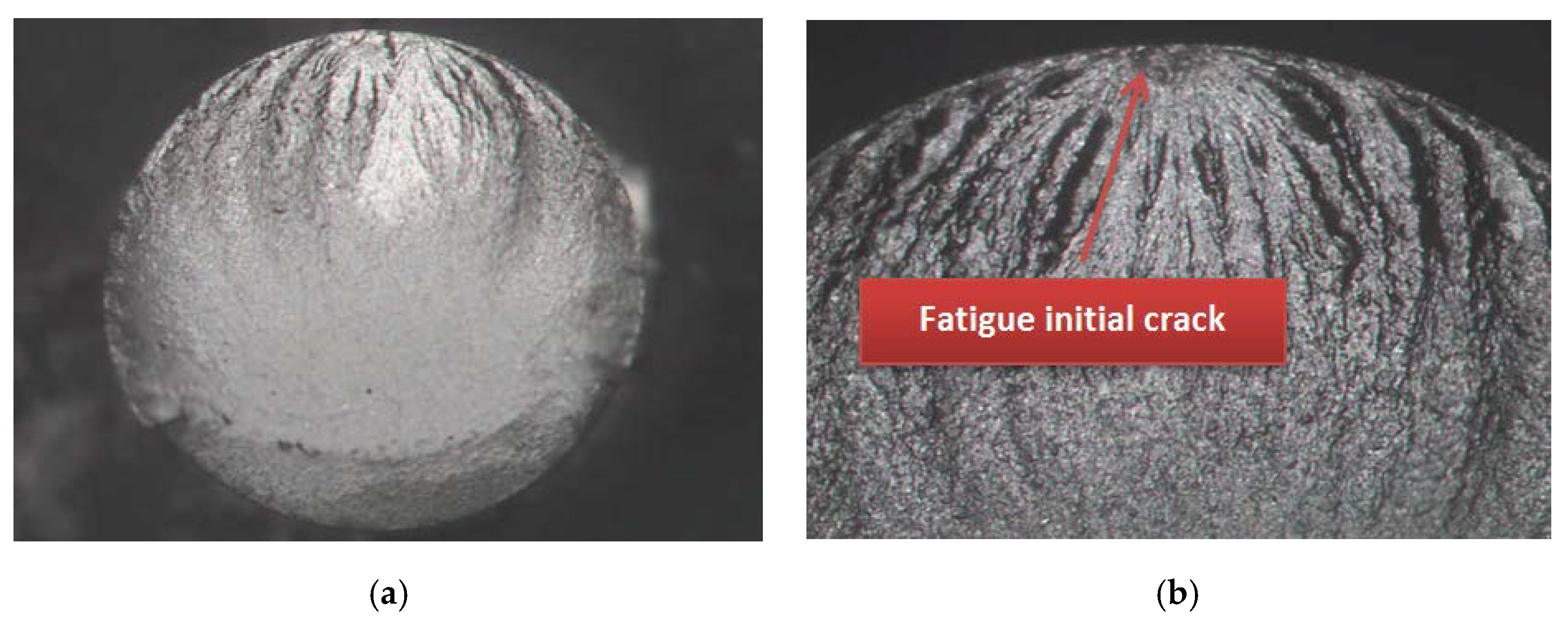 Metals 10 00631 g005