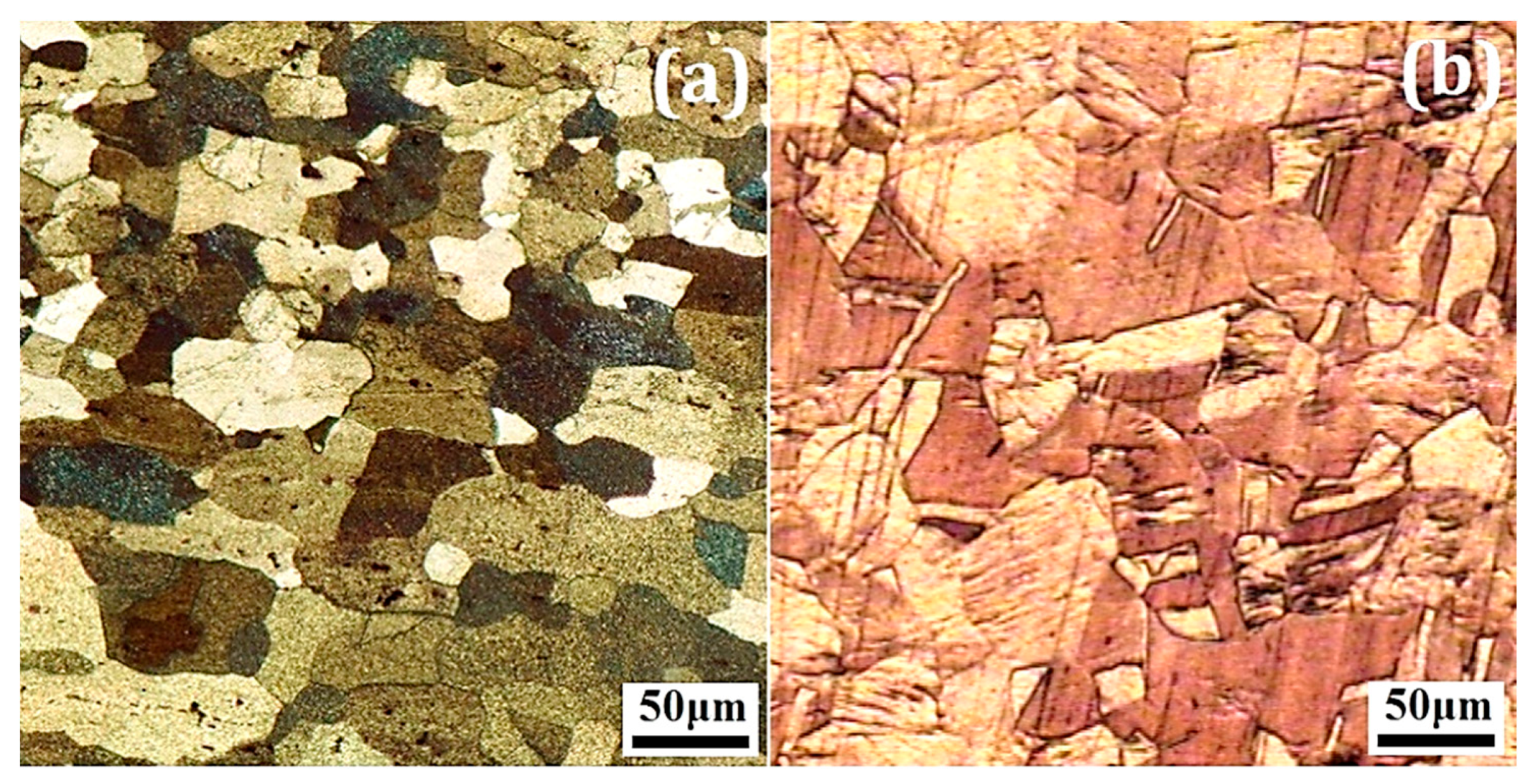 Metals 10 00634 g002