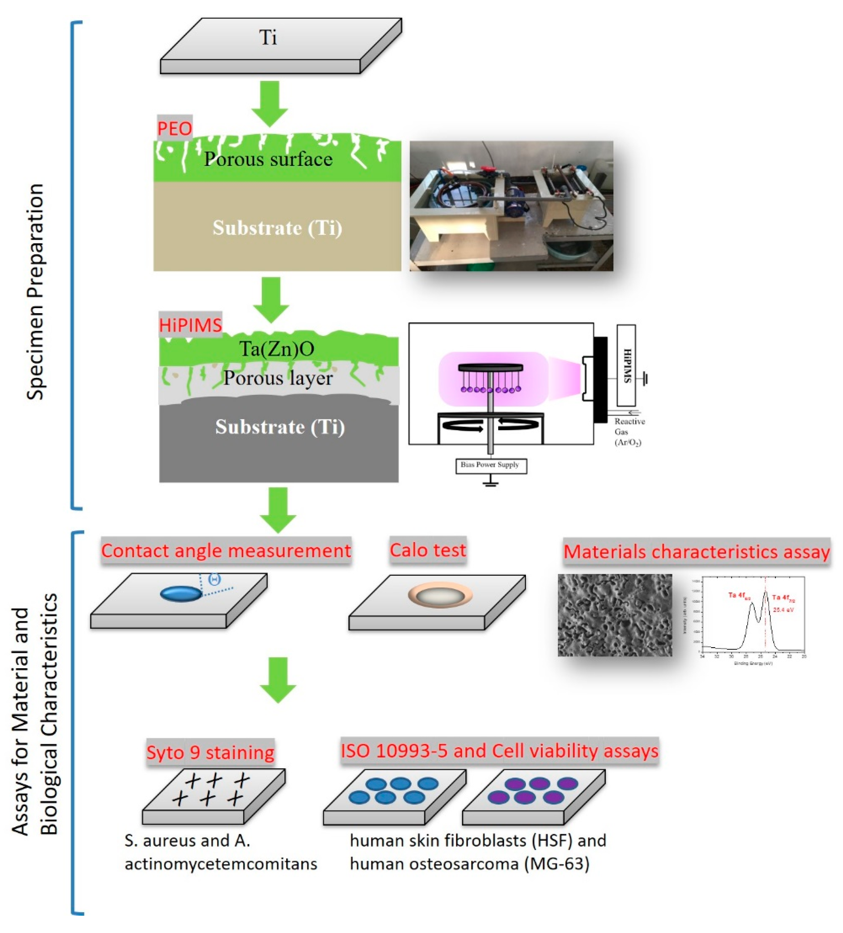 Metals 10 00649 g001