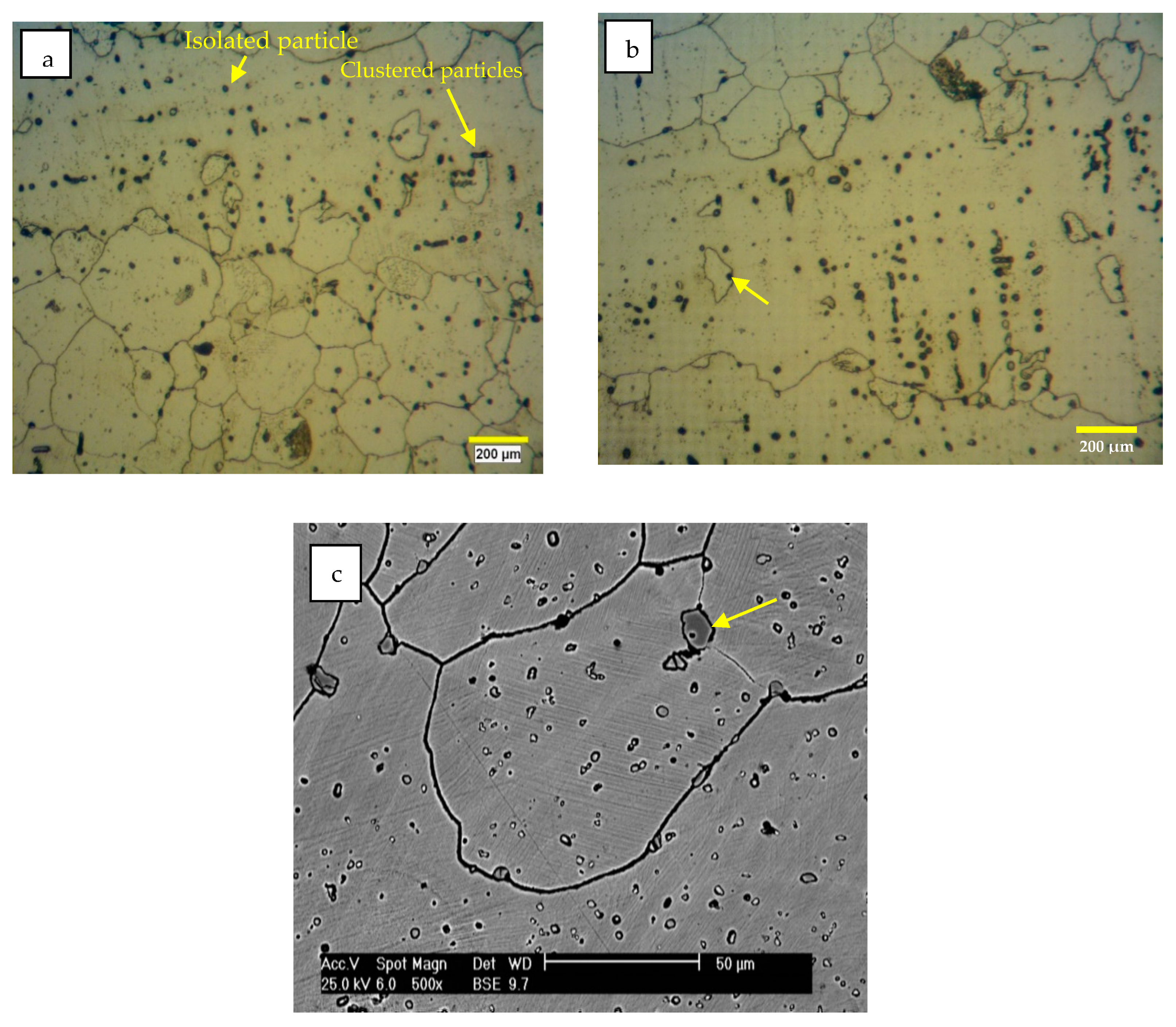 Metals 10 00671 g003a 550