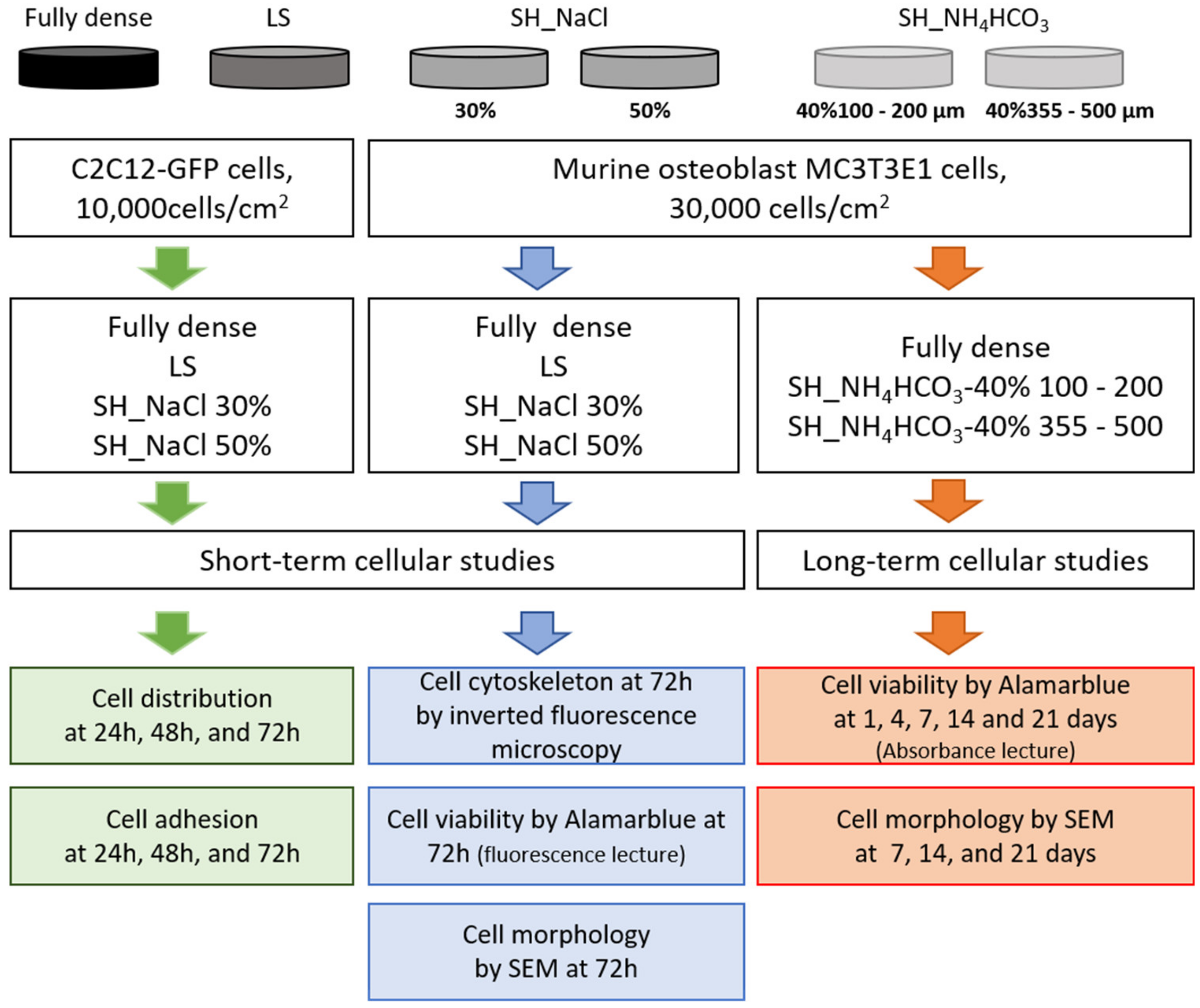Metals 10 00696 g001