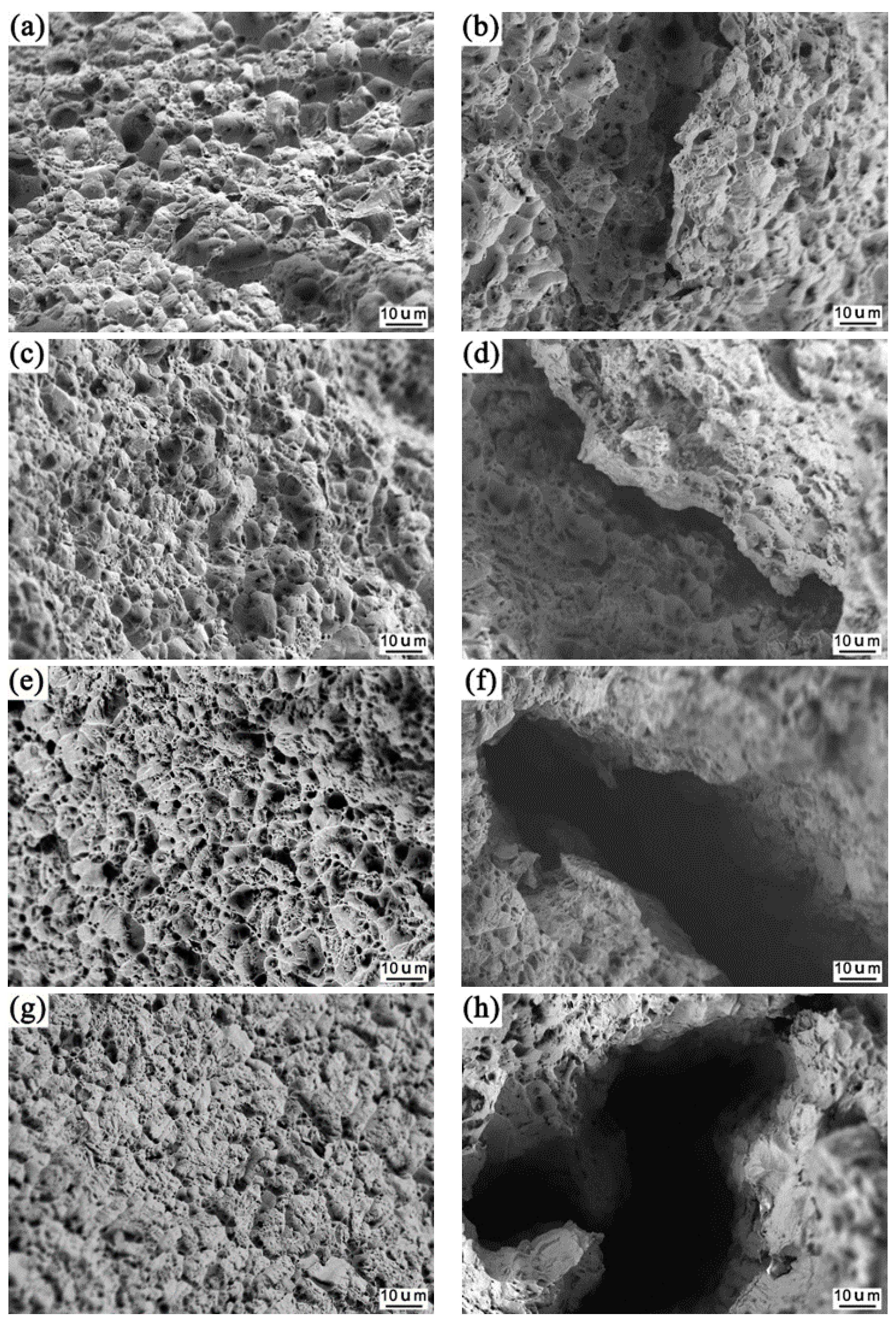 Metals 10 00715 g010