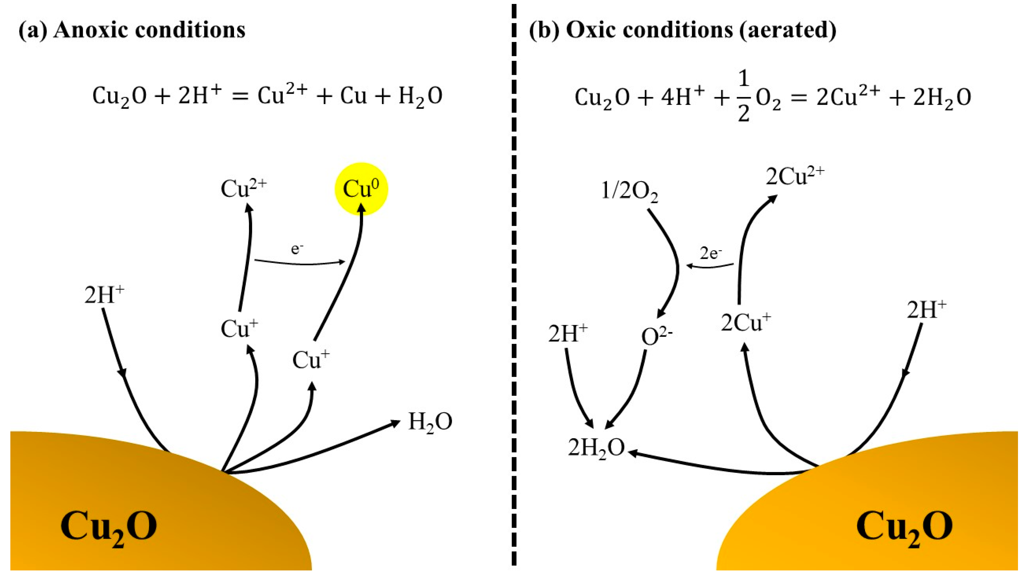 Copper Oxide And Sulfuric Acid Reaction at Johnny Moe blog