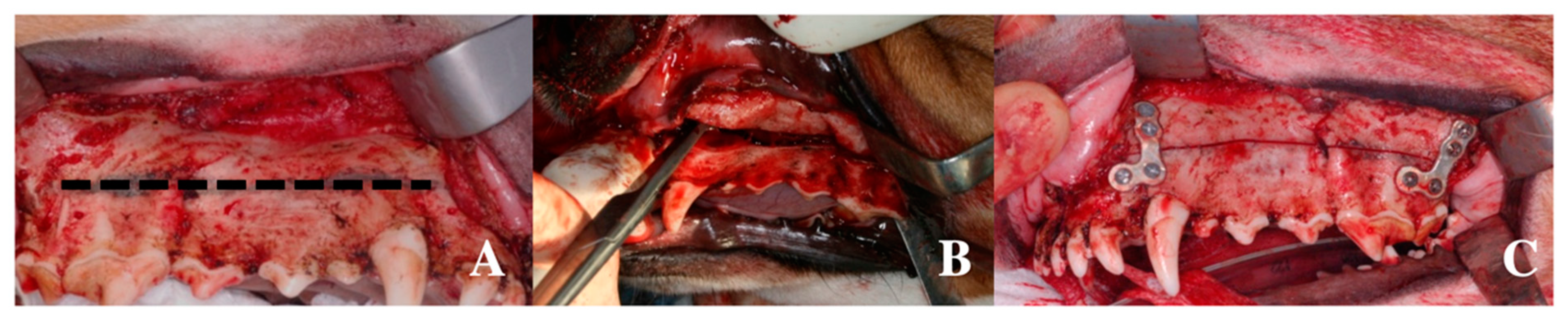 Metals 10 00724 g002 Metals 10 00724 g002