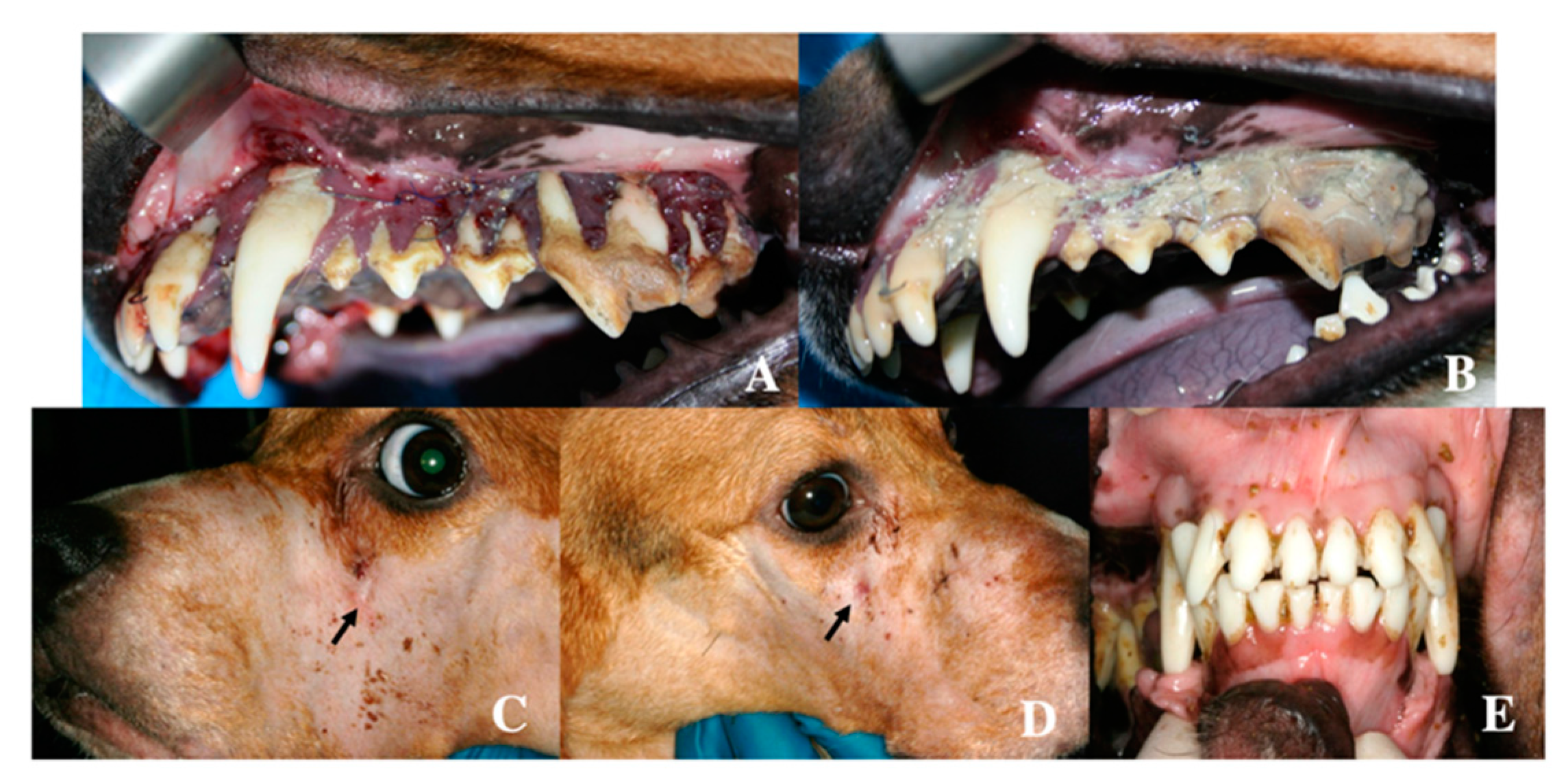 Metals 10 00724 g003 Metals 10 00724 g003