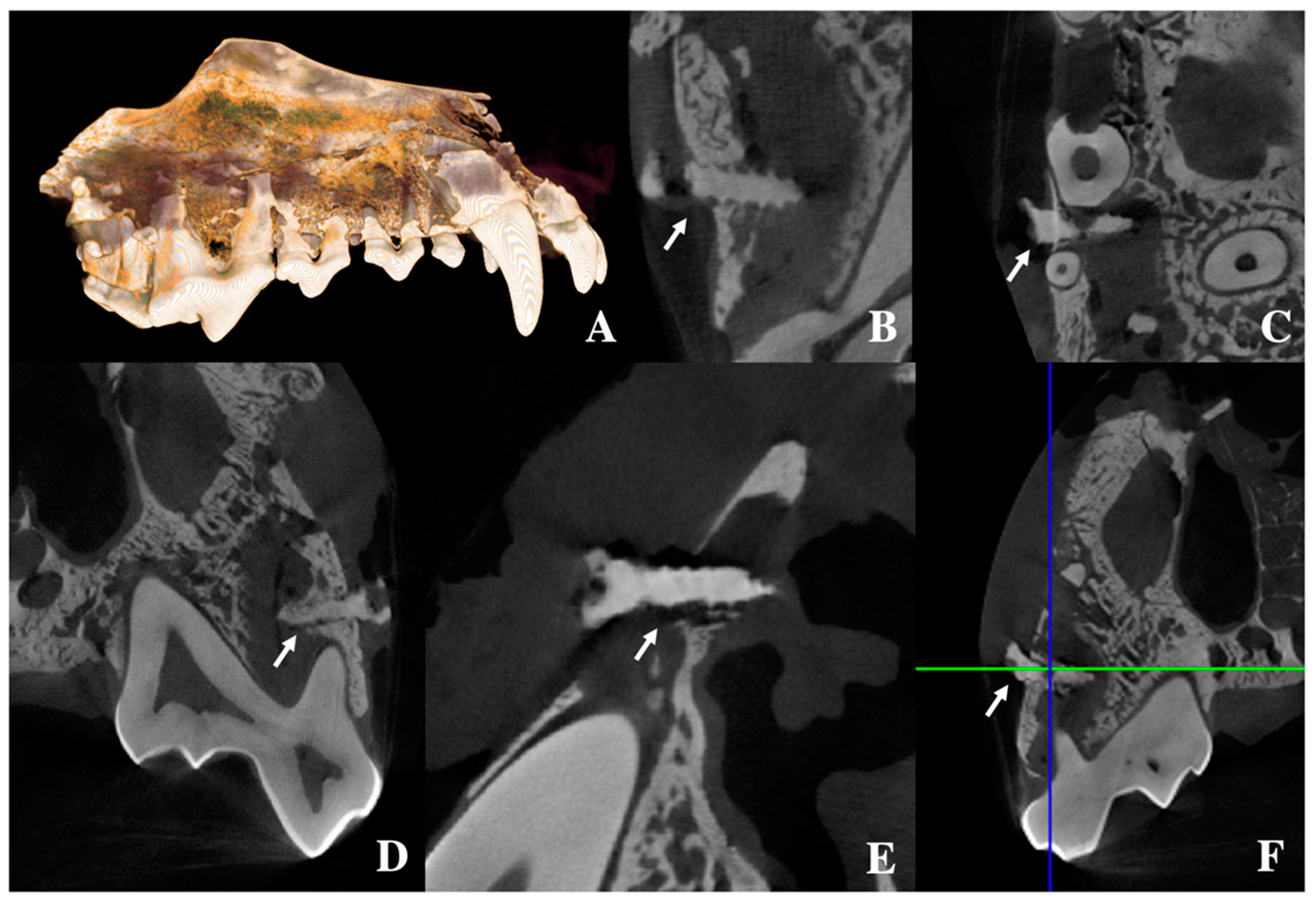 Metals 10 00724 g004 Metals 10 00724 g004