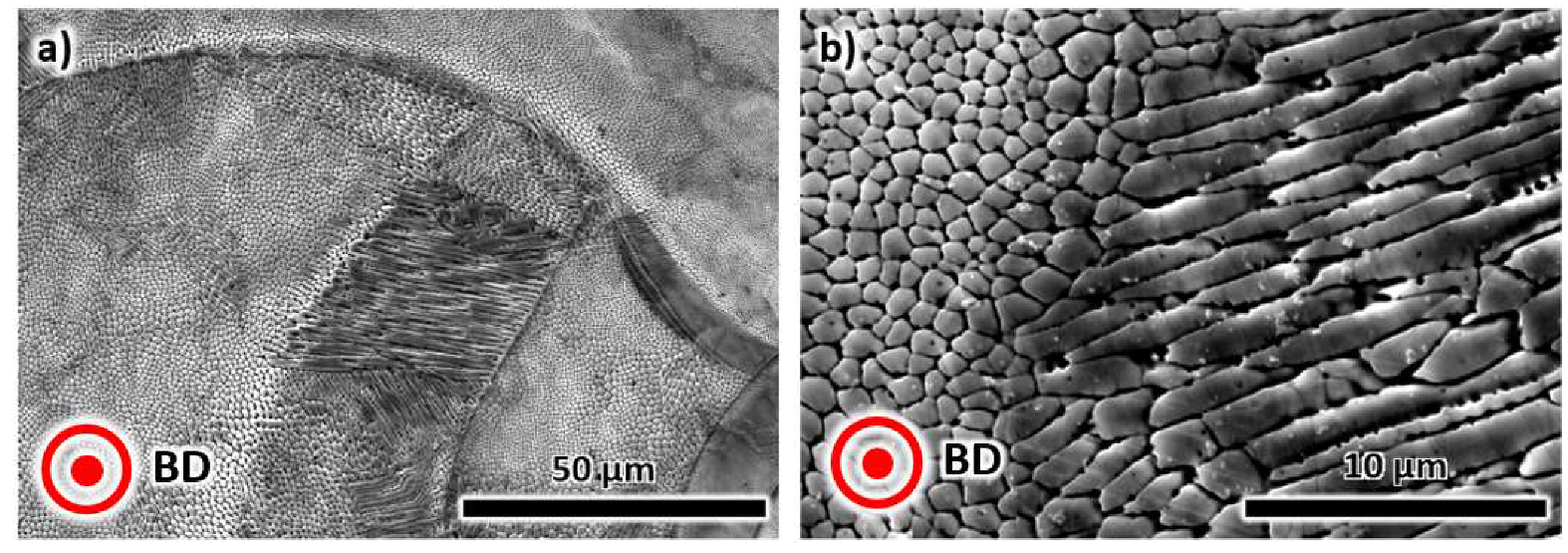 Metals 10 00753 g003