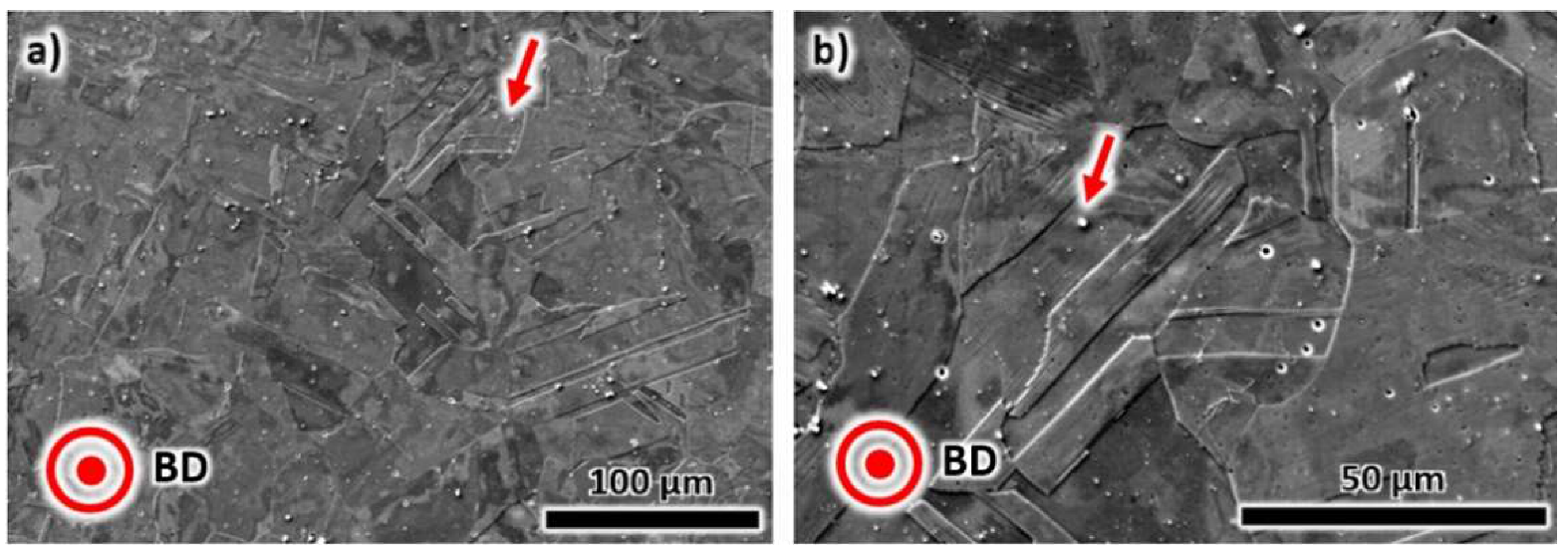 Metals 10 00753 g007