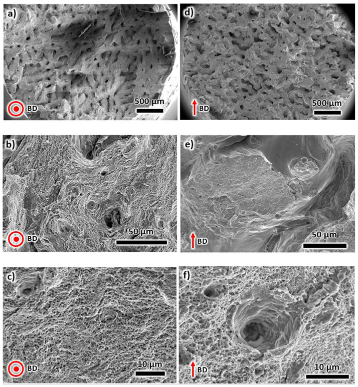 Metals 10 00753 g010