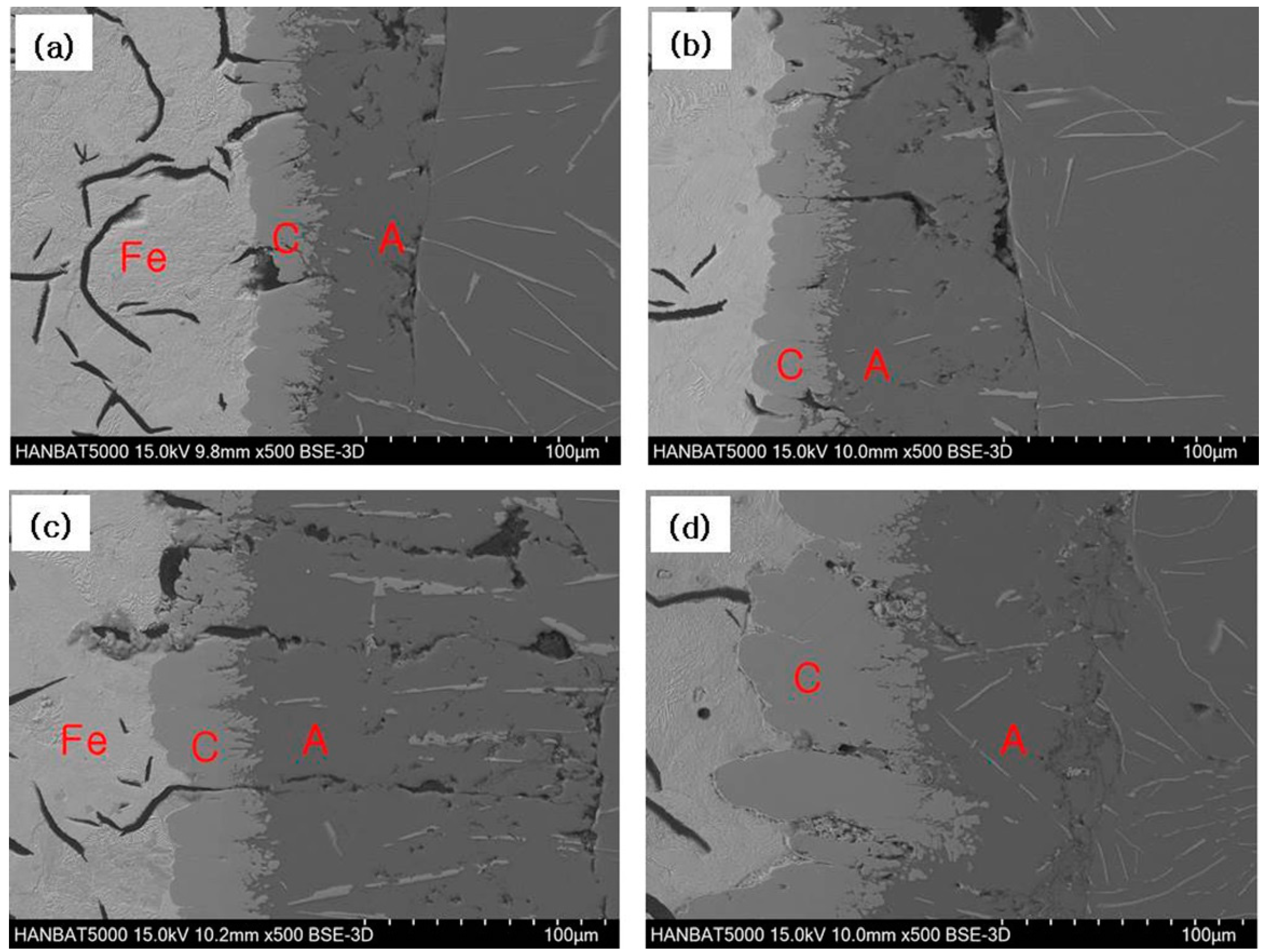 Metals 10 00759 g002