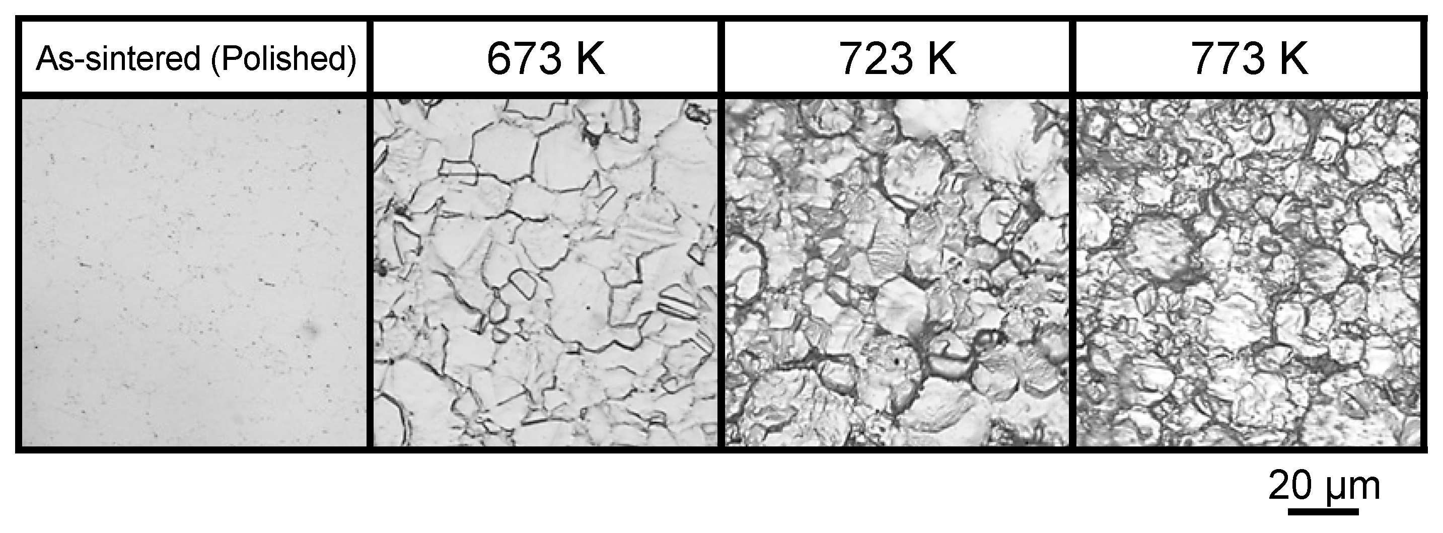 Metals 10 00761 g007