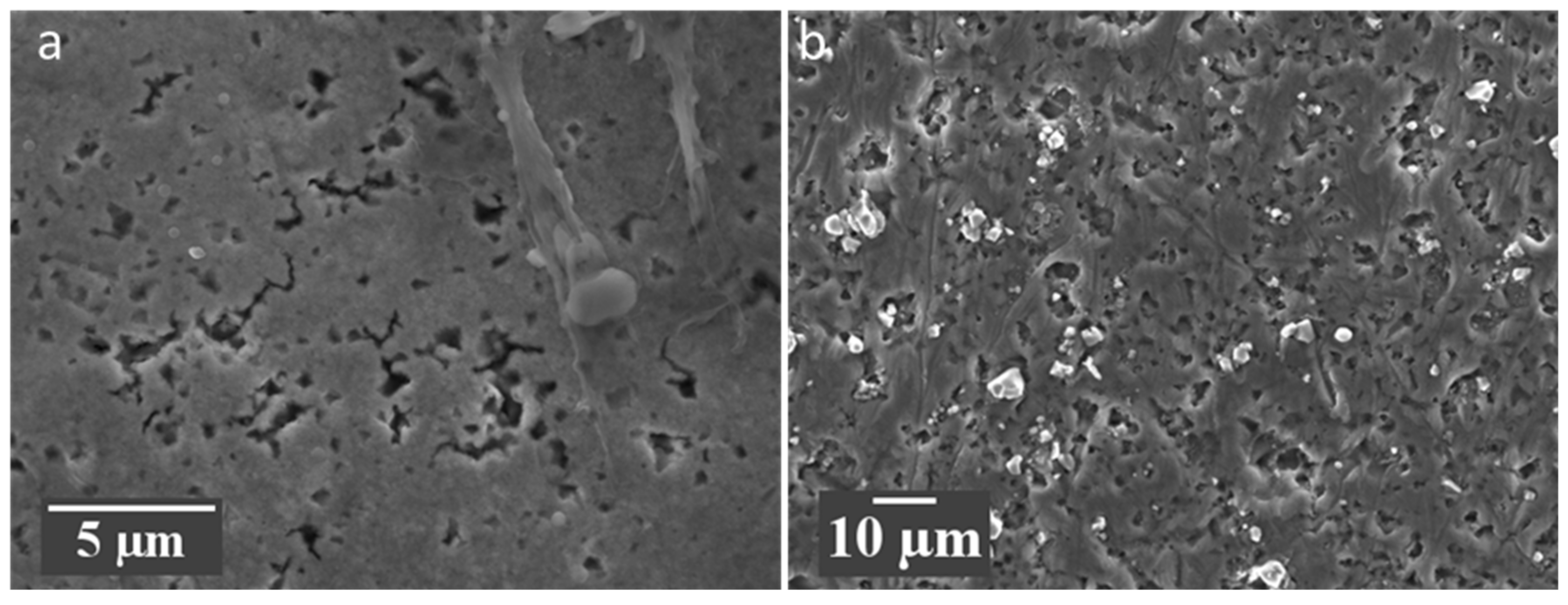 Metals 10 00773 g005