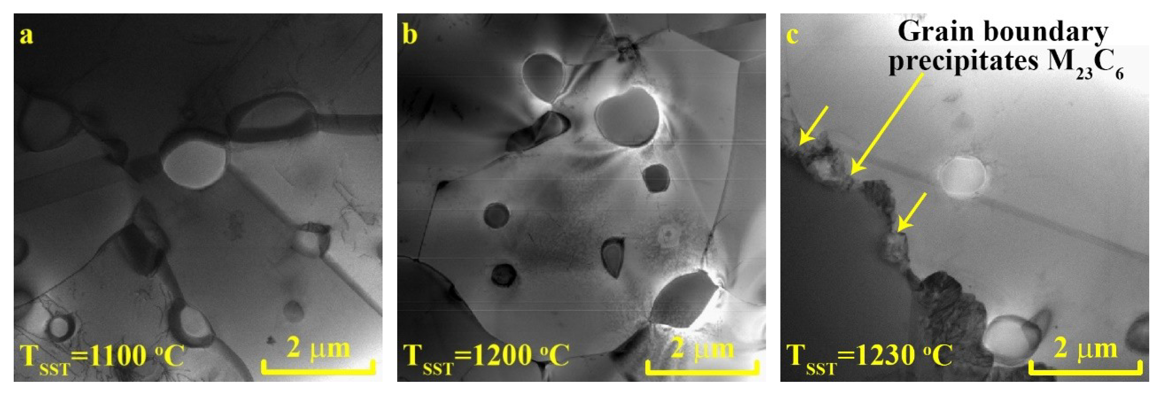 Metals 10 00786 g001