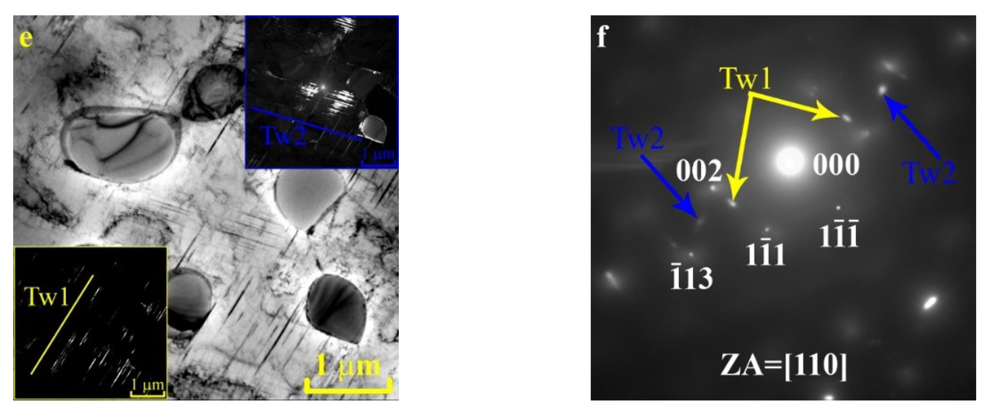 Metals 10 00786 g005b