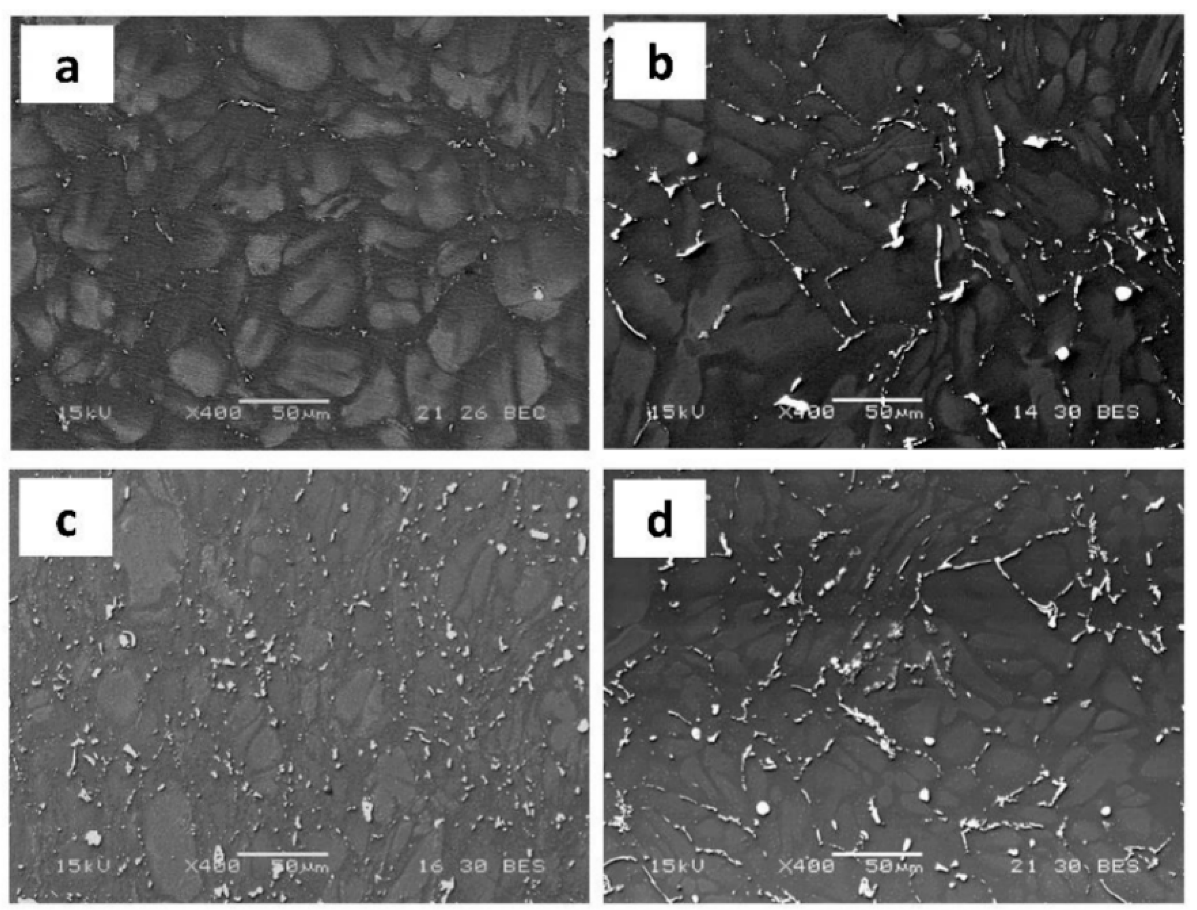 images Corrosiveness Sign stress corrosion and corrosion fatigue