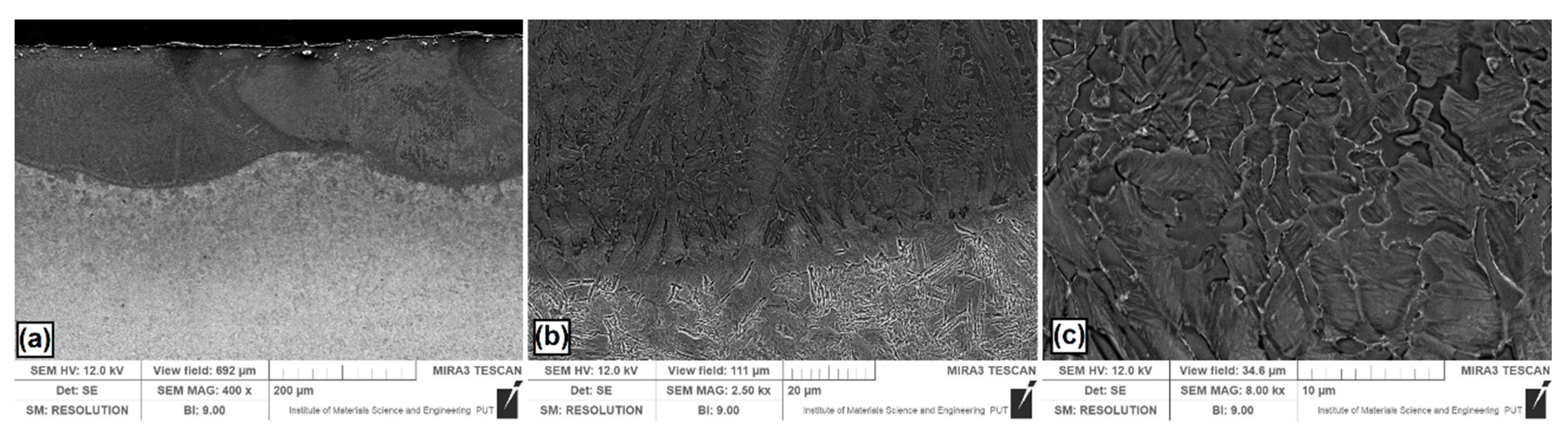 Metals 10 00792 g003