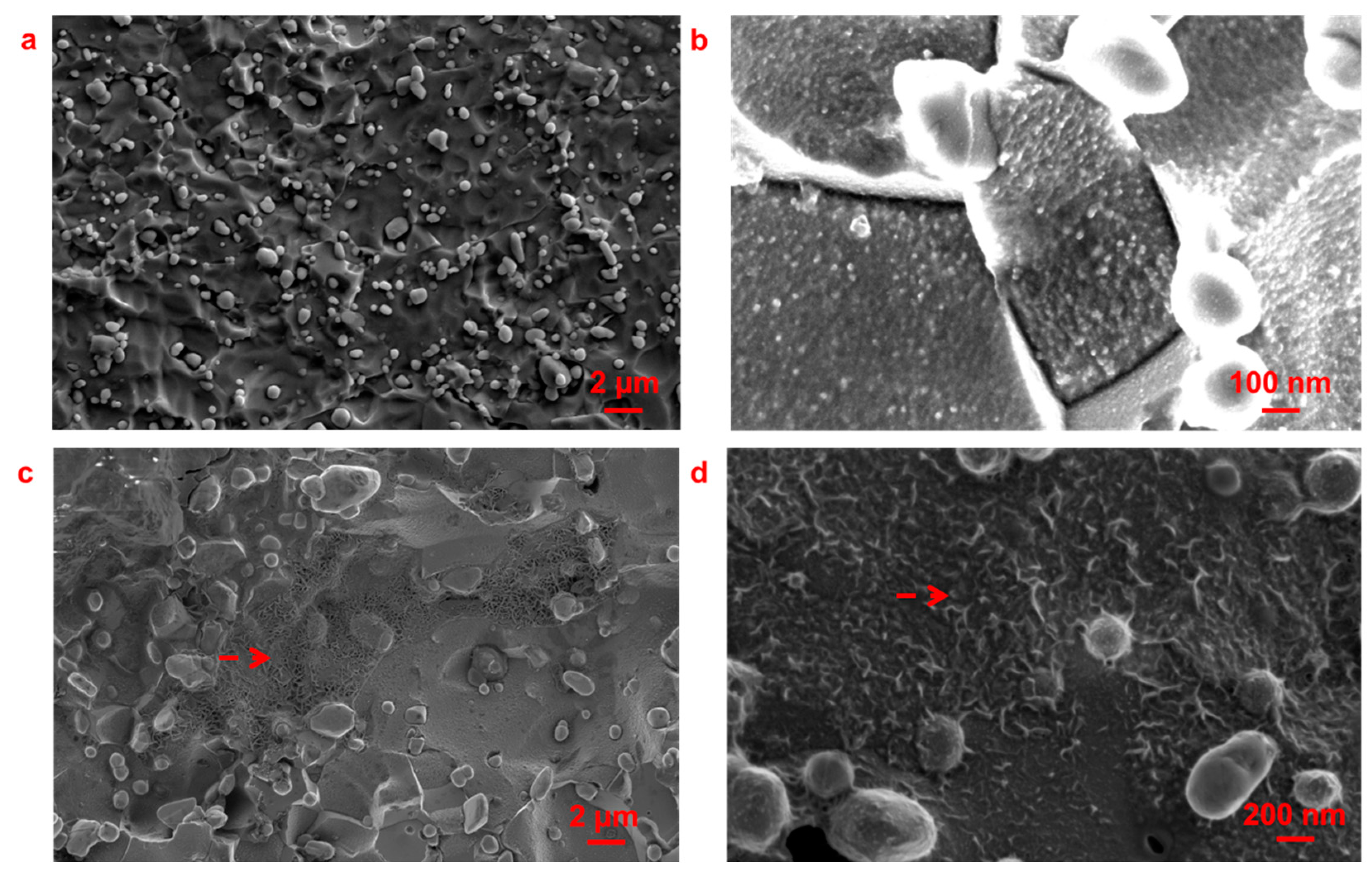 Metals 10 00794 g007 Metals 10 00794 g007