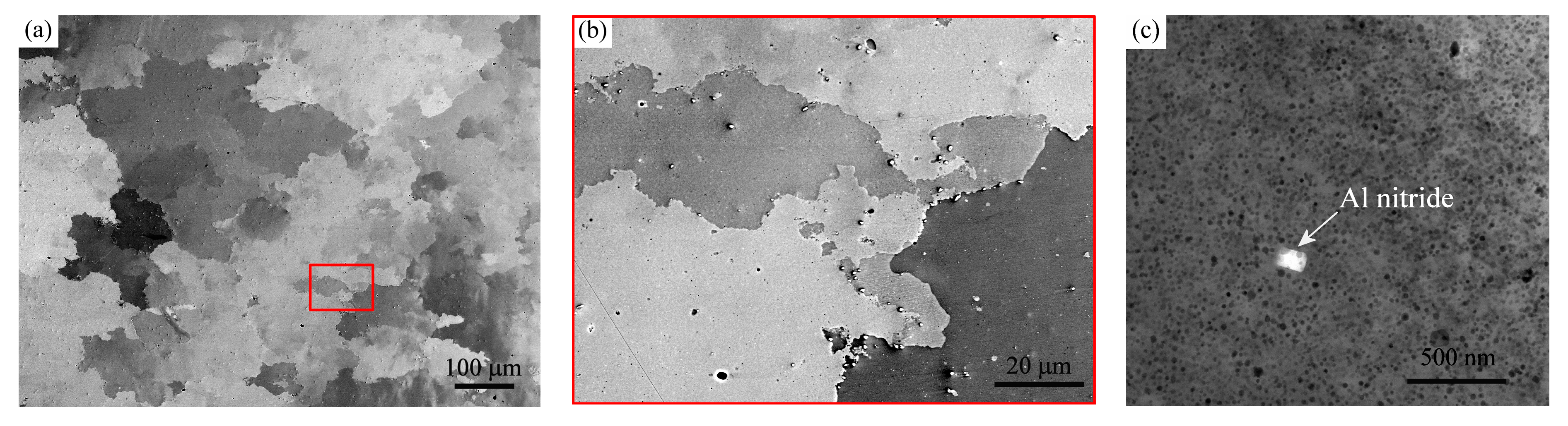 Metals 10 00804 g002