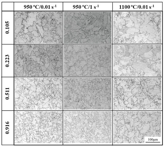 Effect of Dynamic Recrystallization on the Transformed