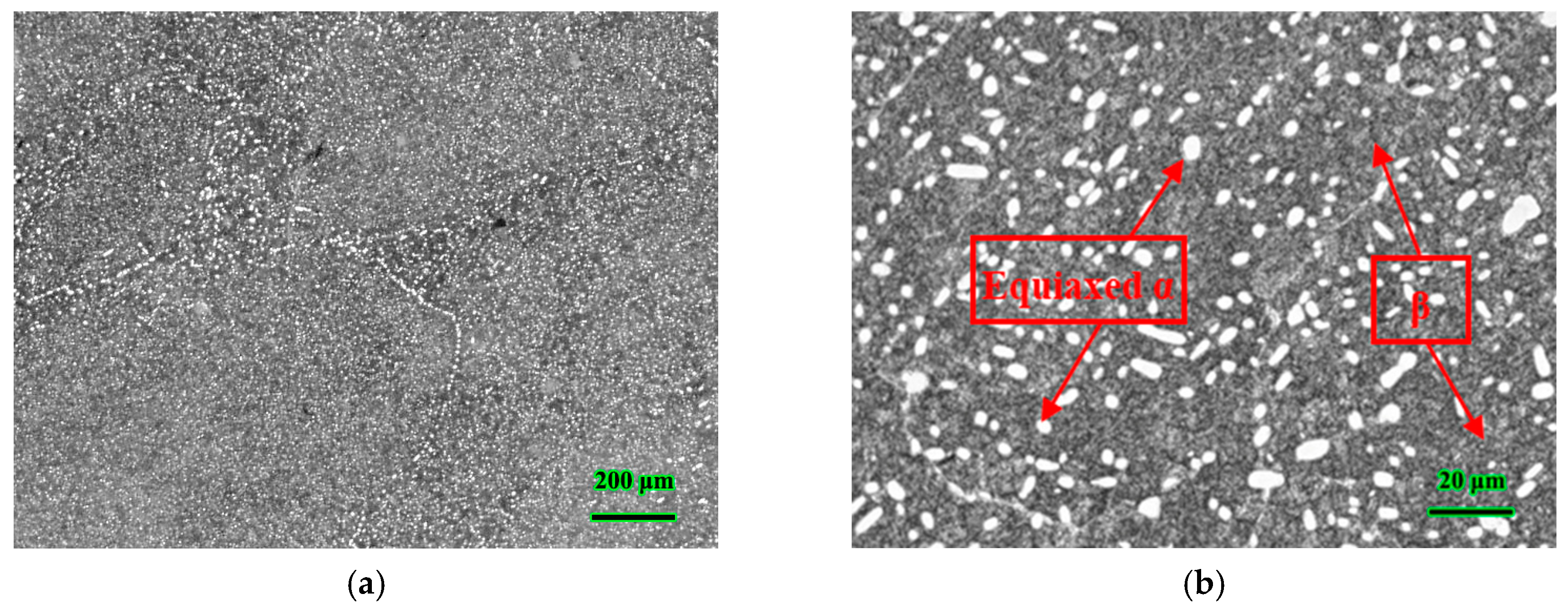 Metals 10 00828 g001 Metals 10 00828 g001