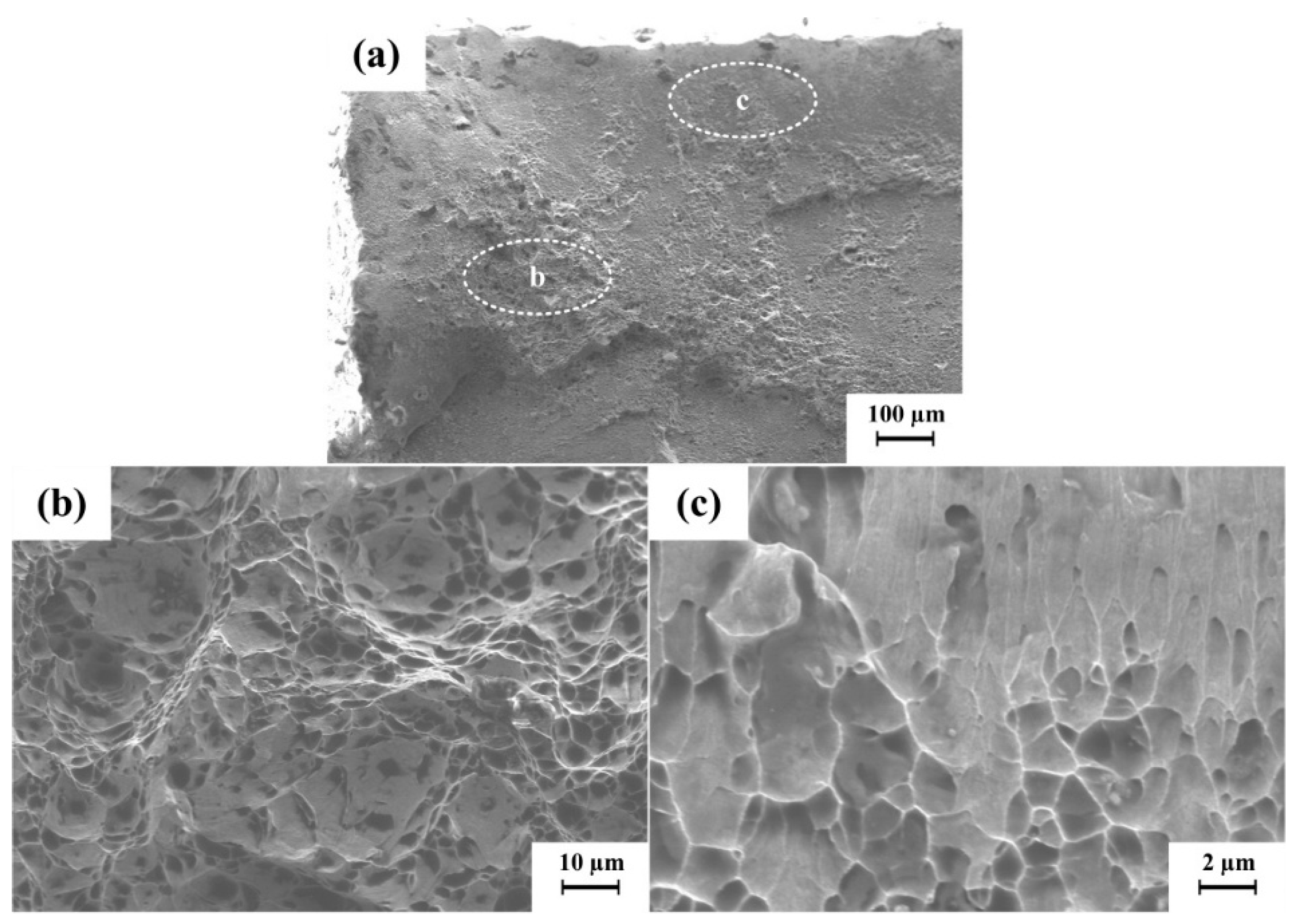 Metals 10 00831 g010 Metals 10 00831 g010