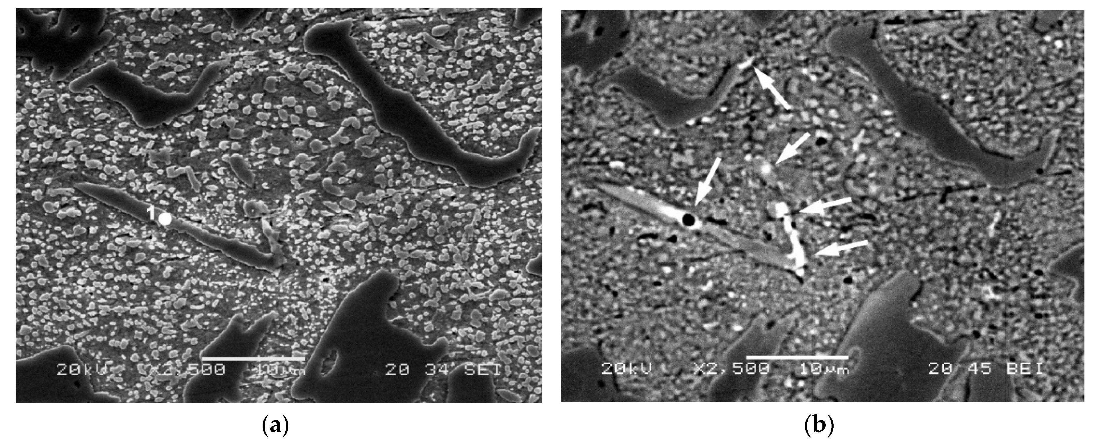 Metals 10 00832 g002