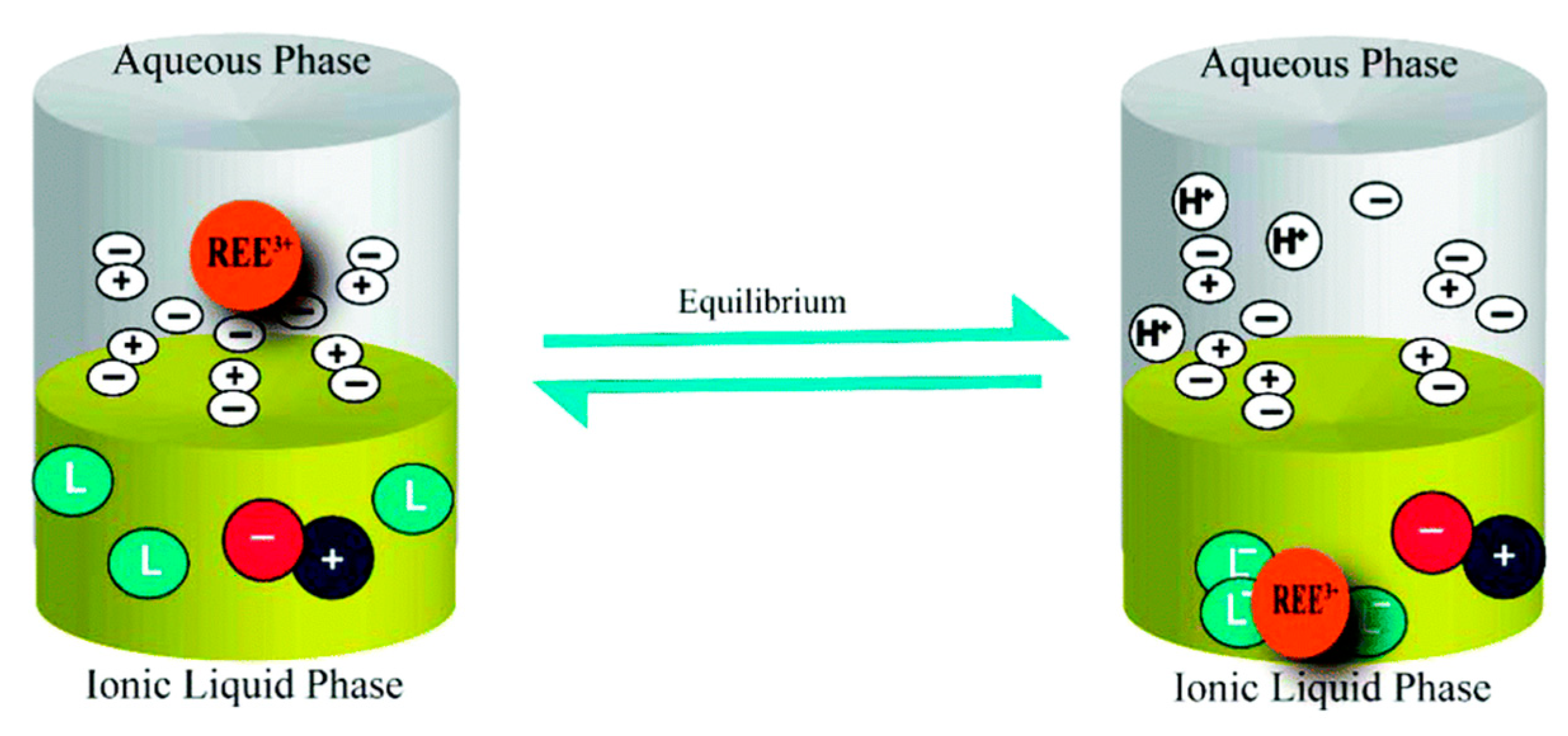 Rare Earth Elements Review
