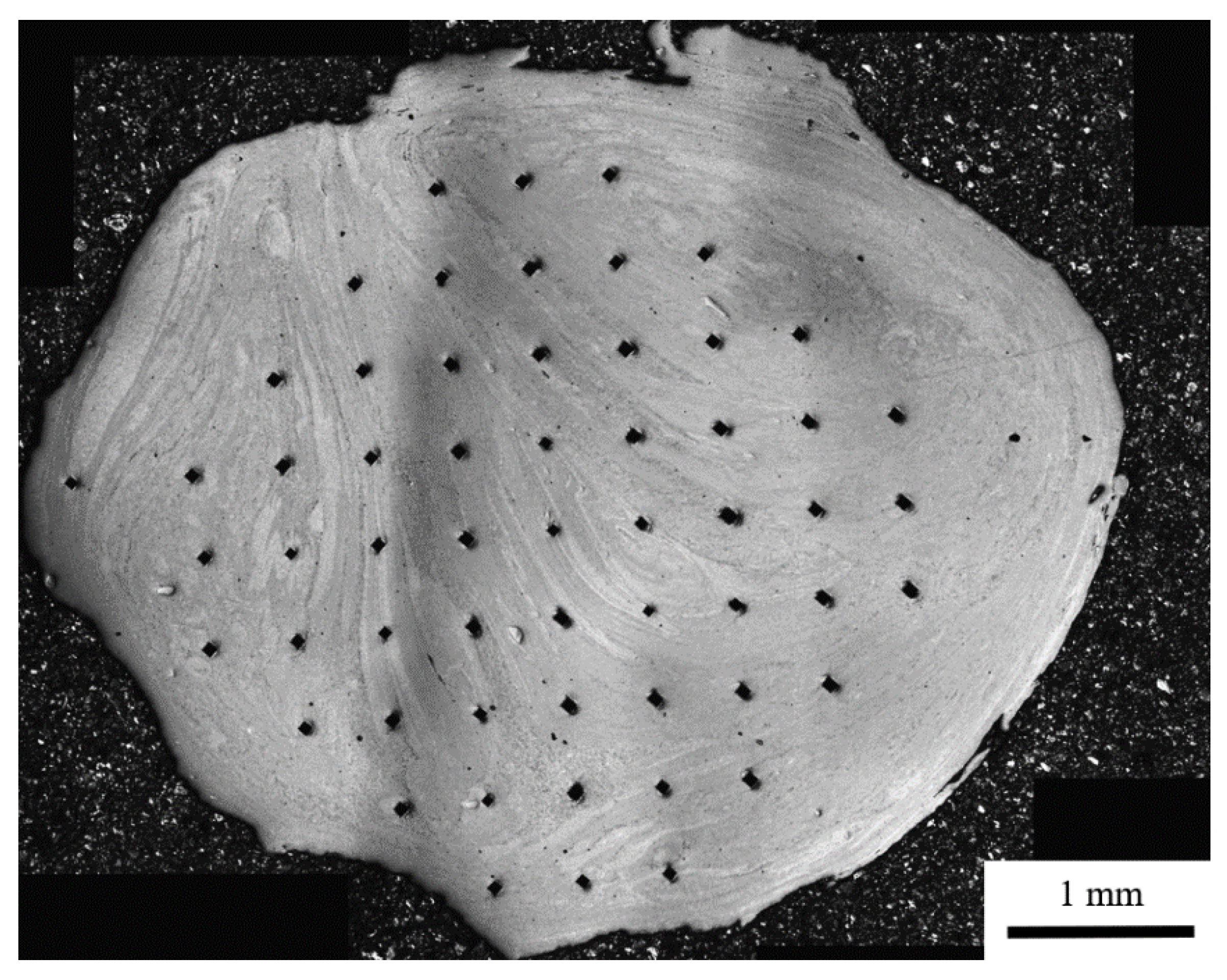 Metals 10 00843 g008