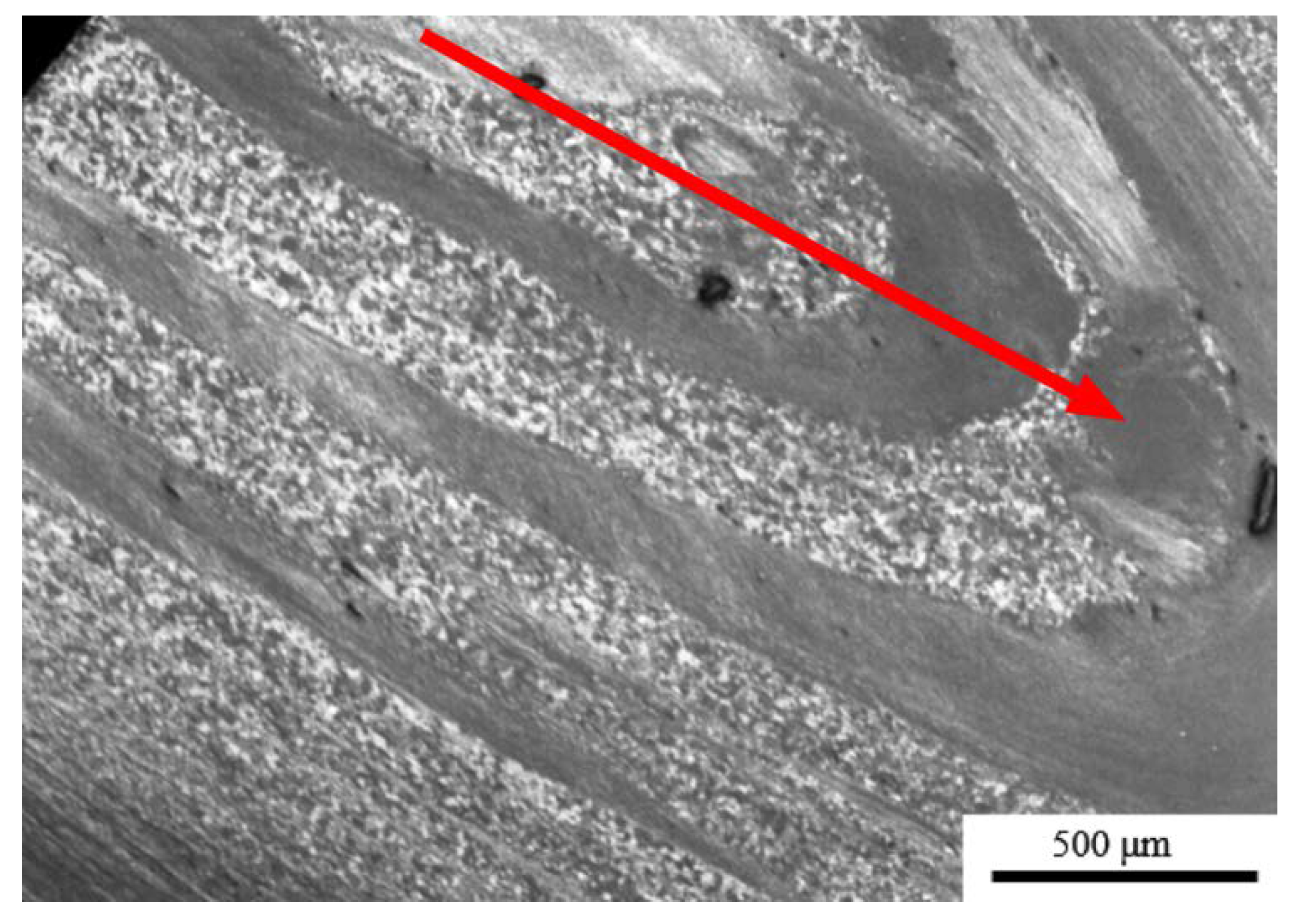 Metals 10 00843 g010