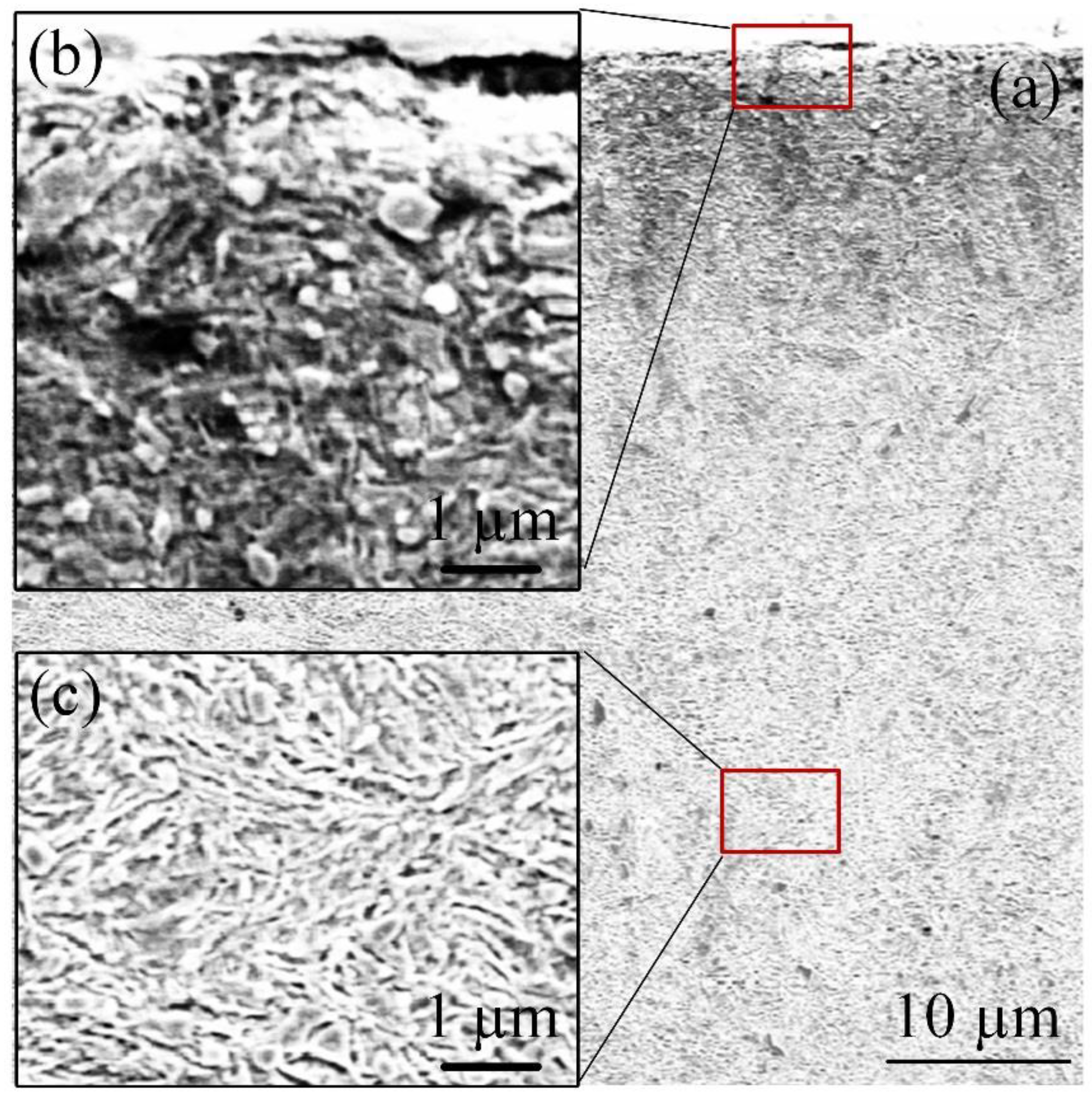 Metals 10 00844 g007 Metals 10 00844 g007