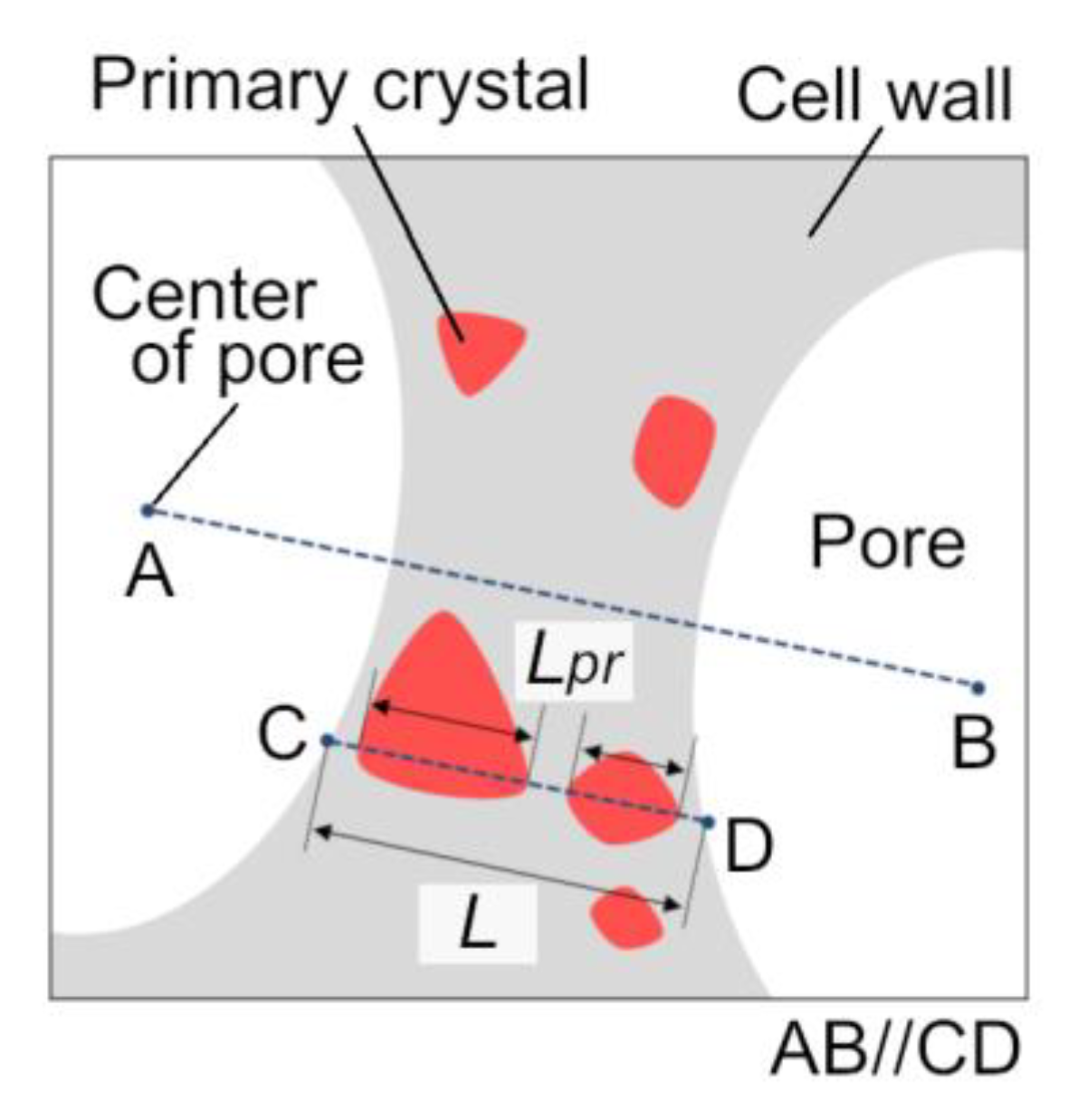 Metals 10 00847 g004