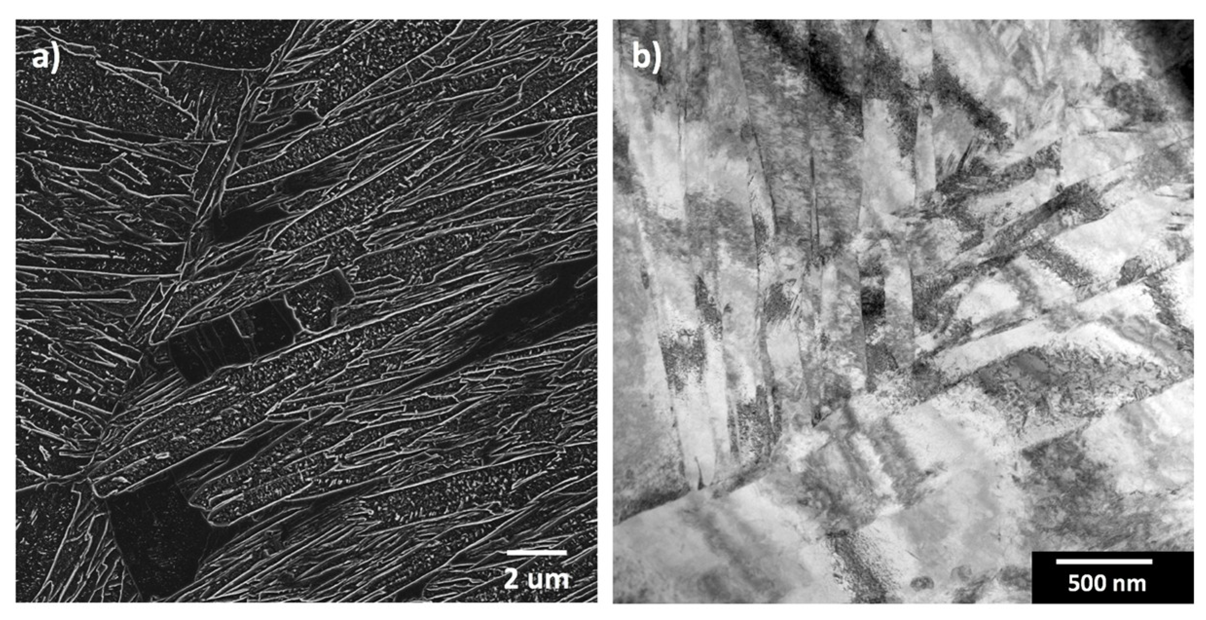 Metals 10 00850 g002