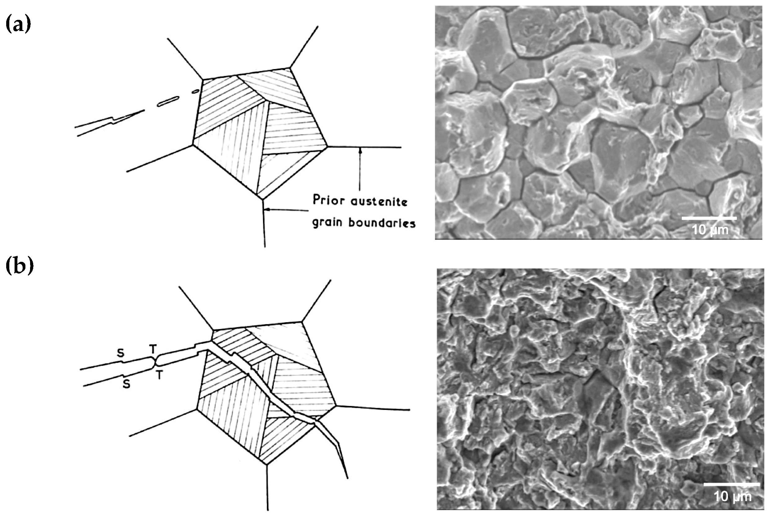 Metals 10 00853 g001