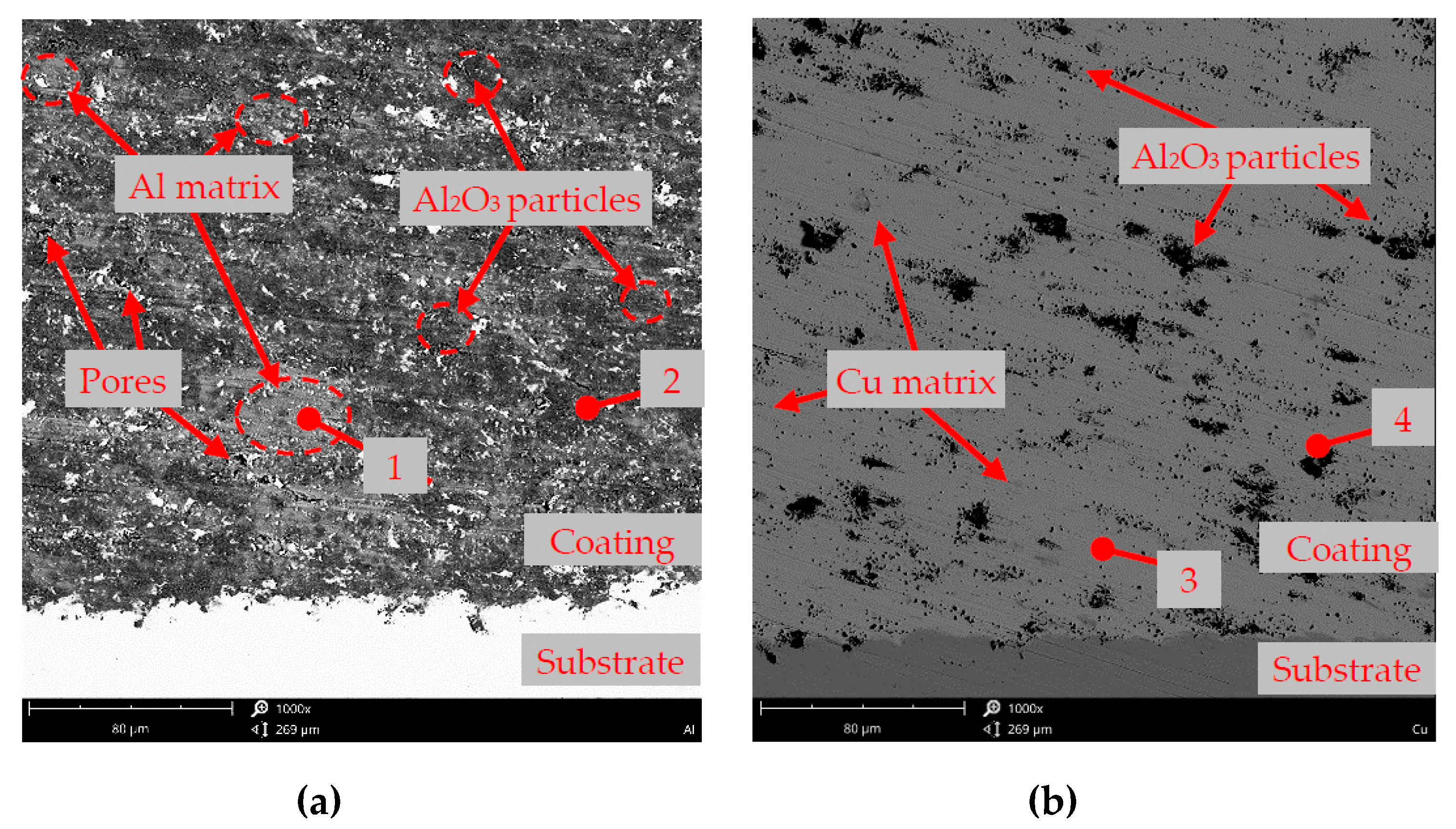 Metals 10 00856 g003