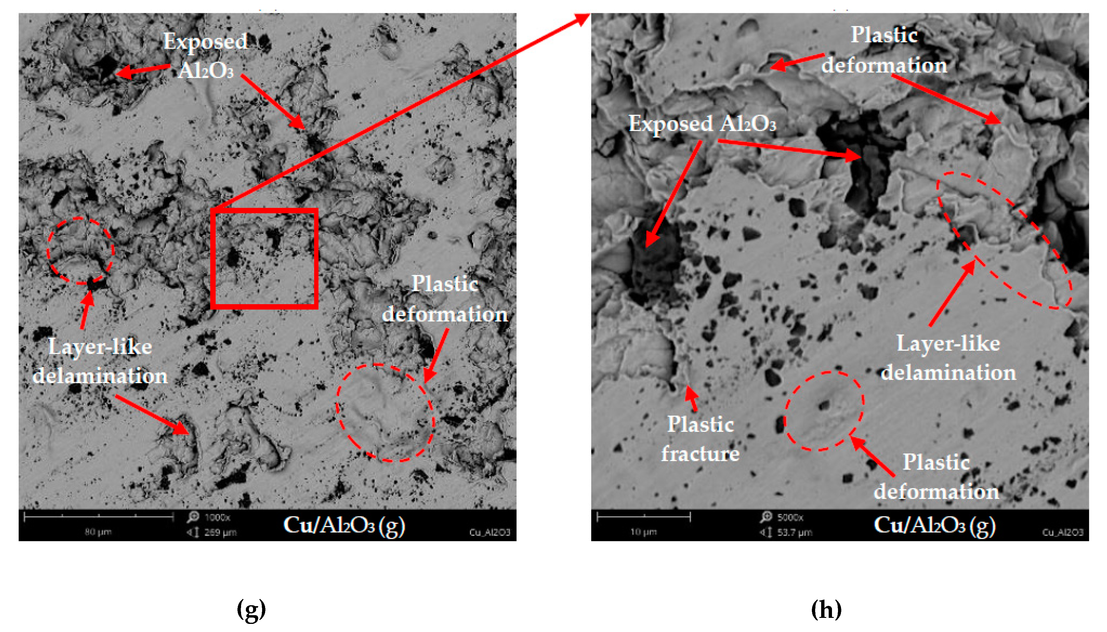 Metals 10 00856 g008c