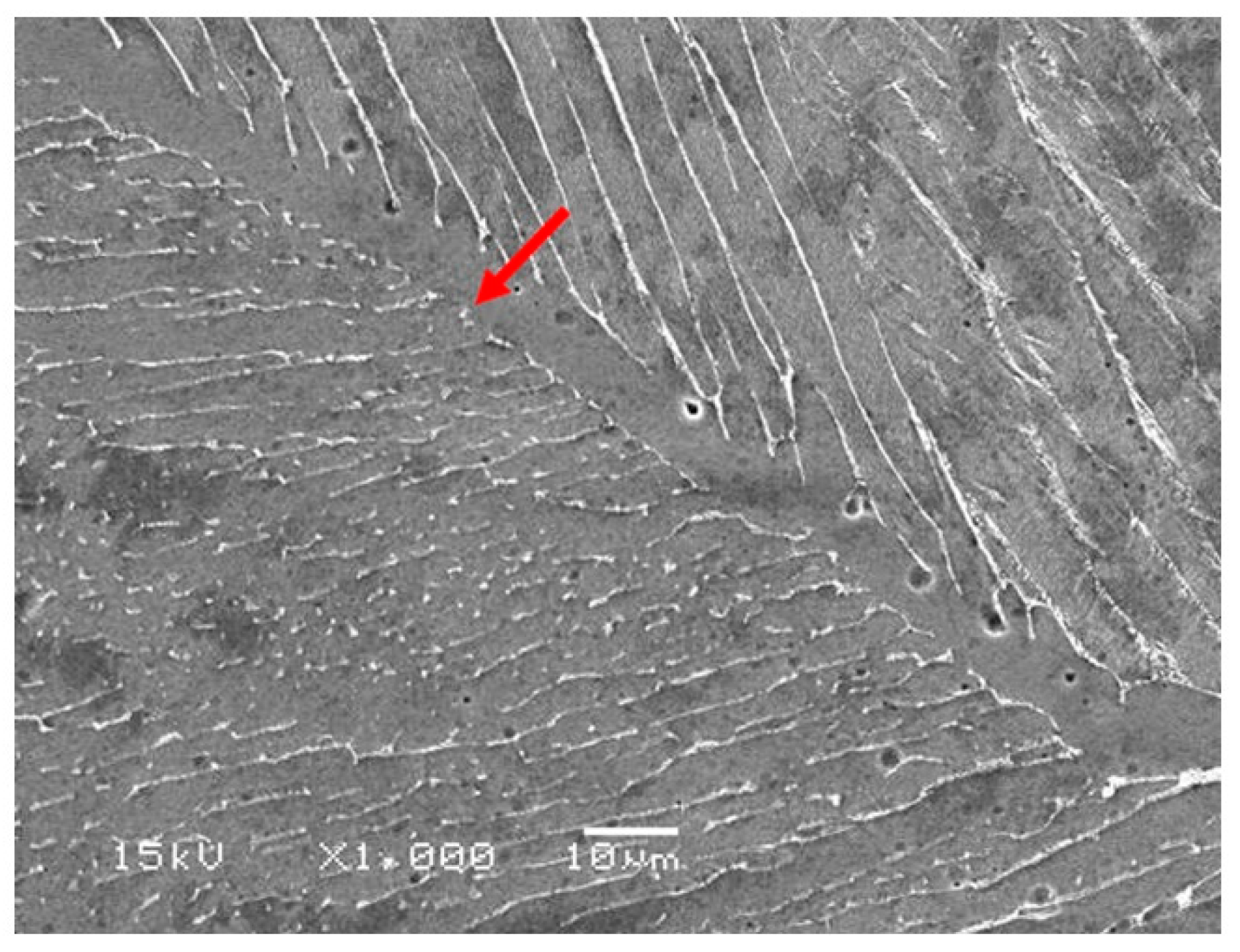 Metals 10 00858 g001