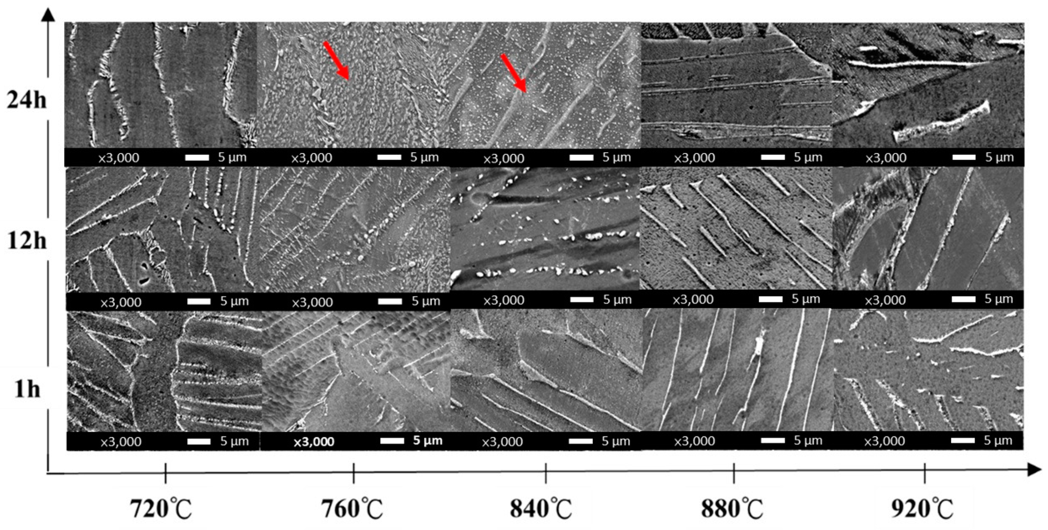 Metals 10 00858 g002