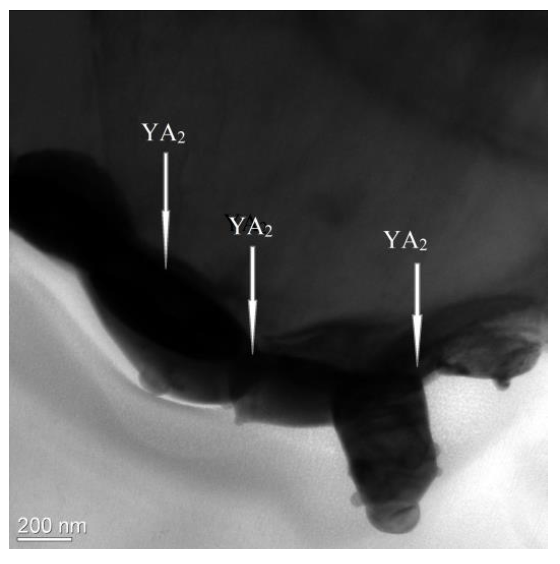 Metals 10 00859 g007